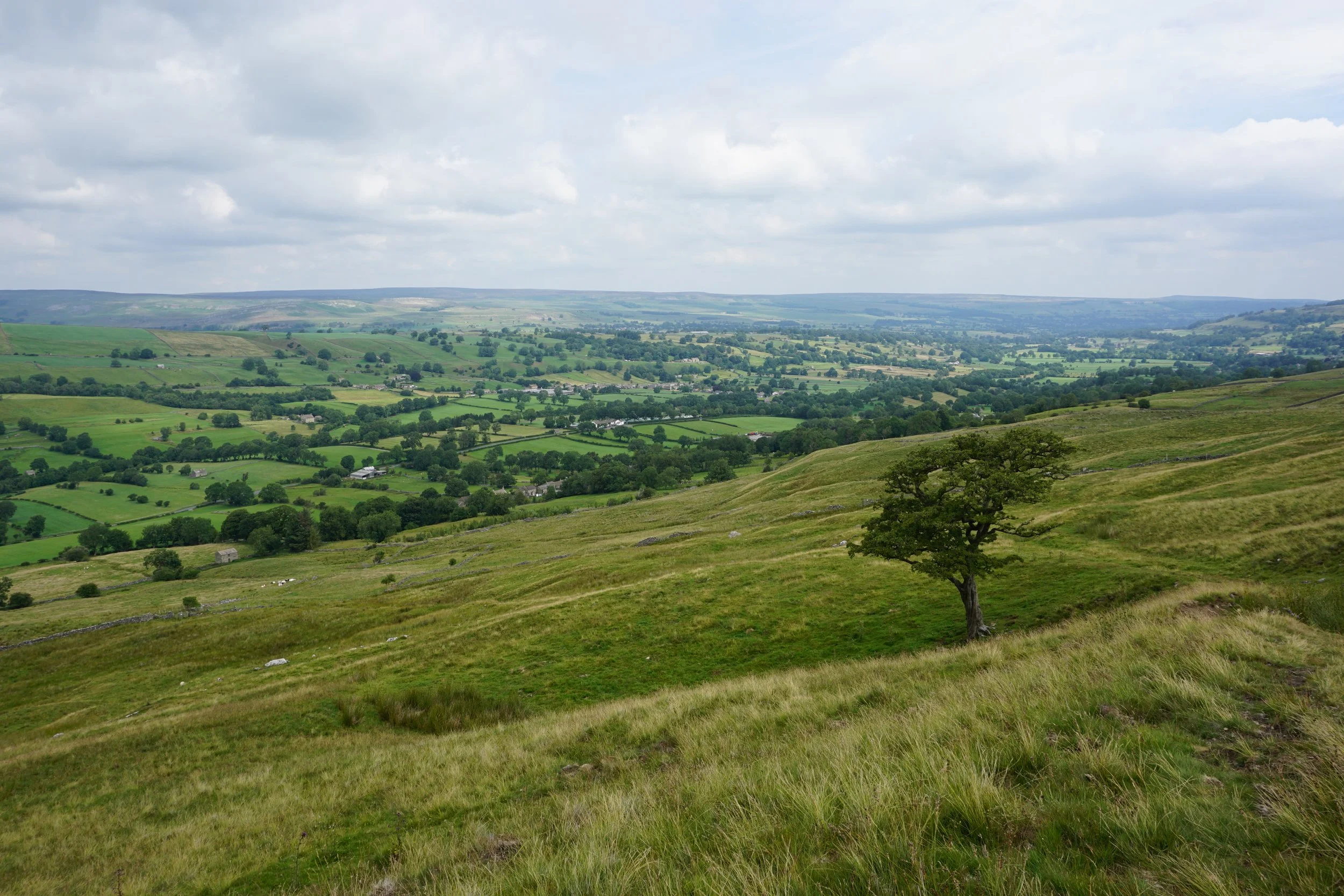 BNG Finder: A Year in Review