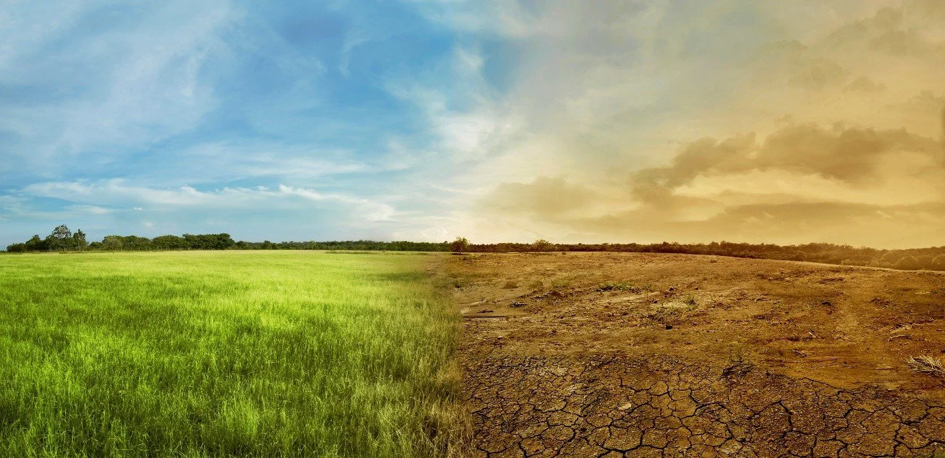 Adaptation That Delivers More: Social Value as a Strategic Outcome of Climate Resilience