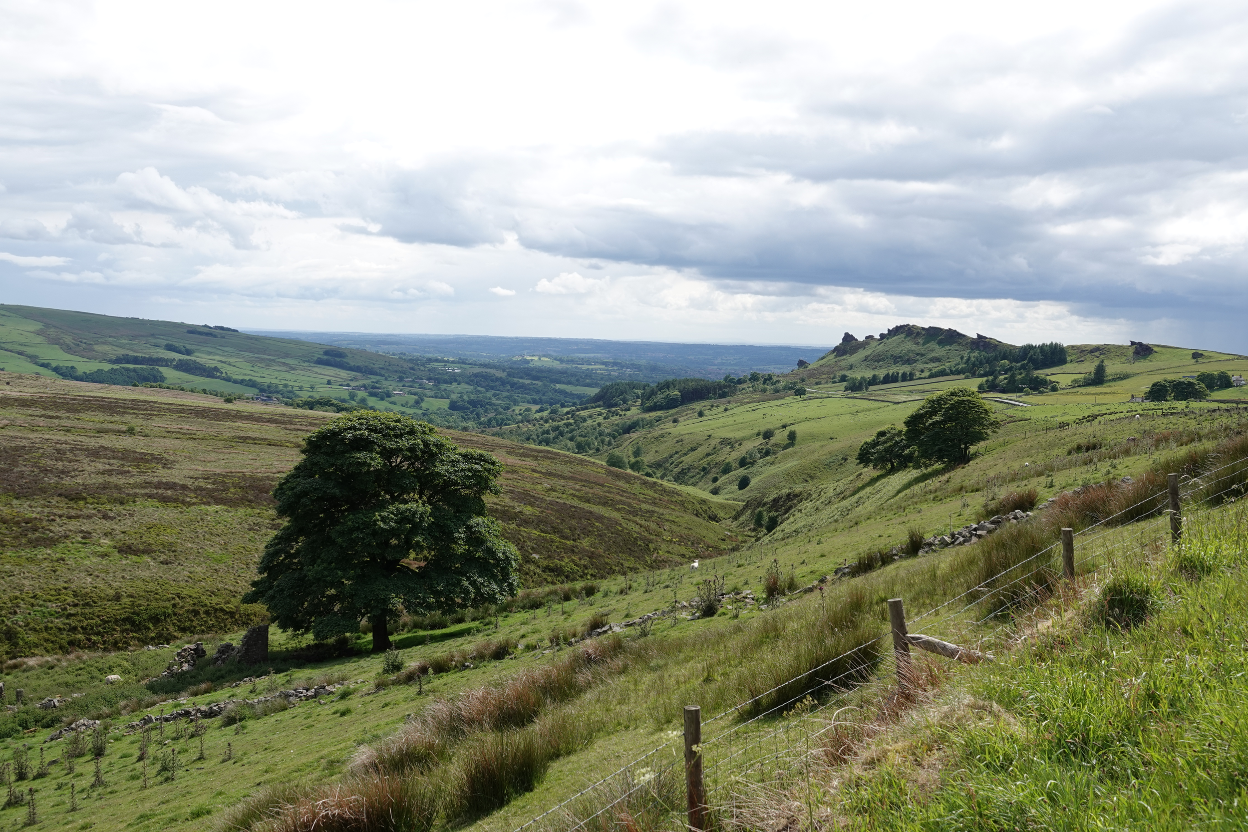 Roundtable Event: Nature-based opportunities for business in Morridge Hill Country