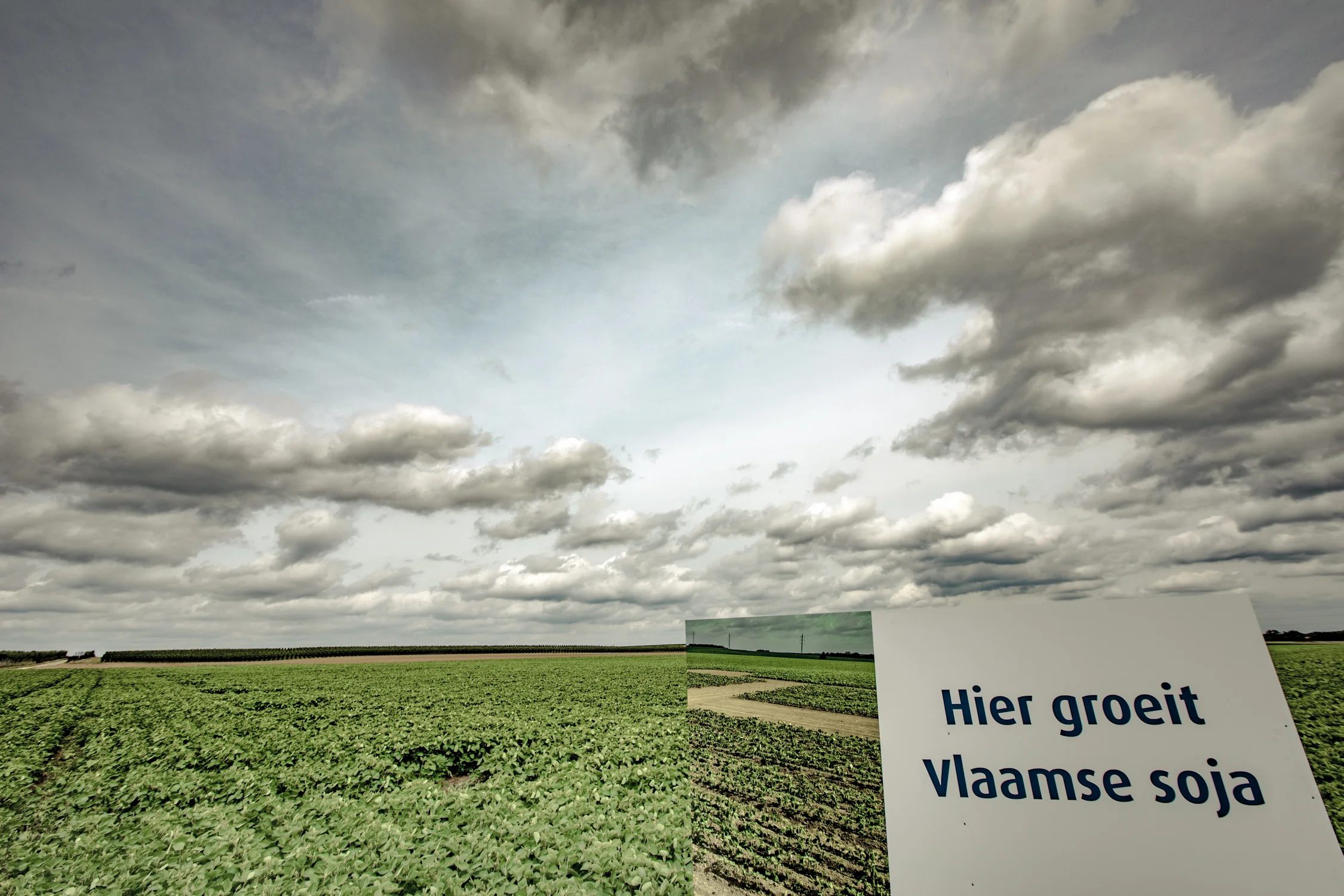 Flemish innovation in horticulture