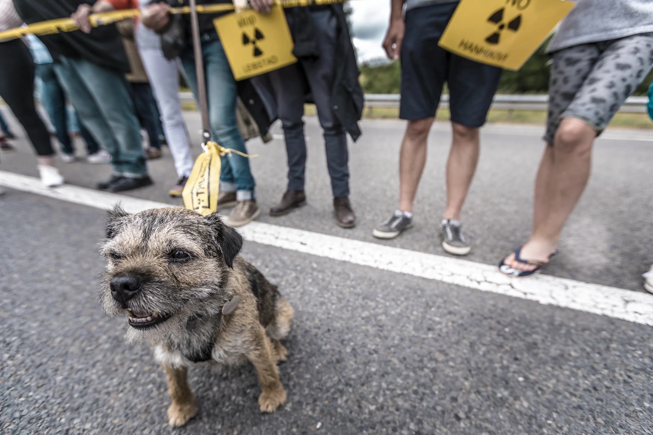 Anti Nuclear Power Plants Protest, Tihange, Belgium