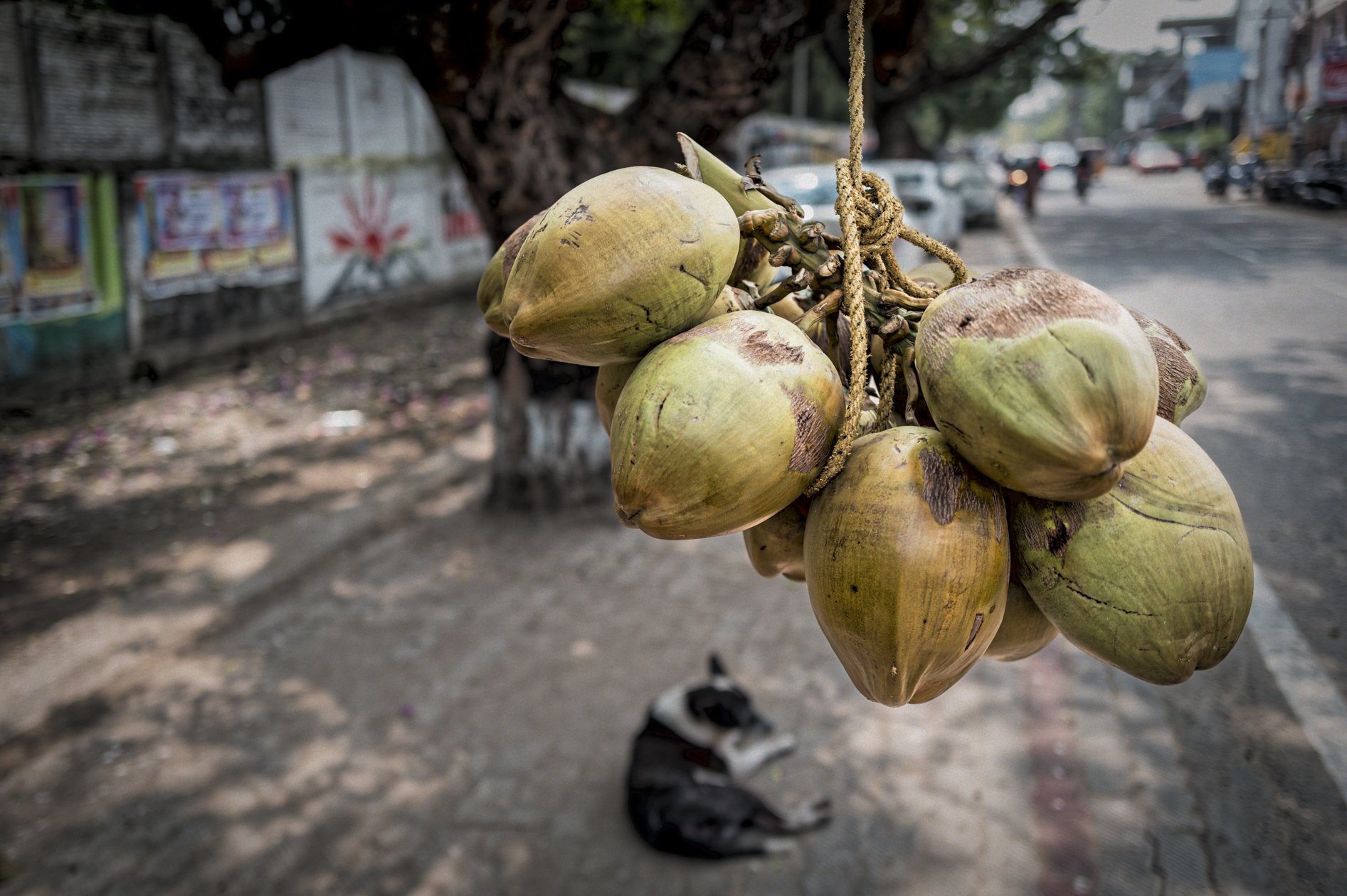 India_Leica Q3 (14 van 24).jpg
