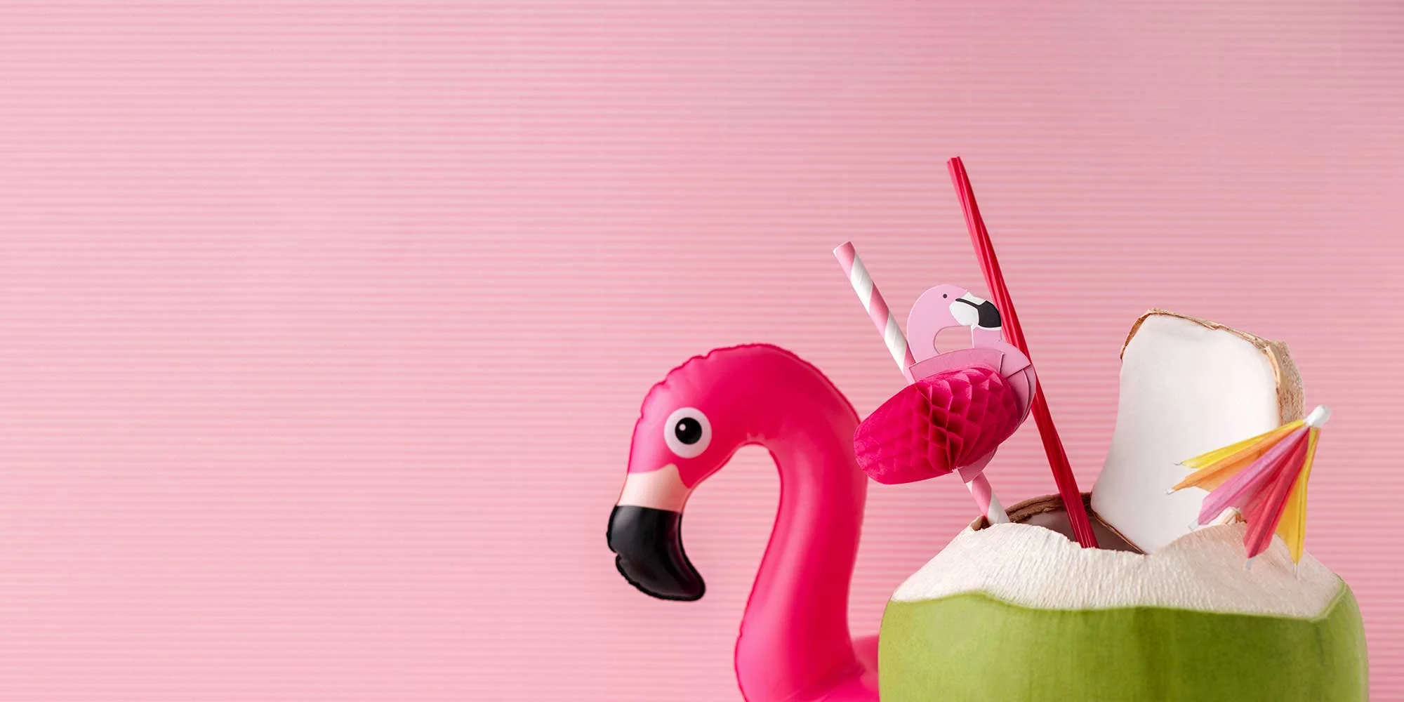 flamingo-web-banner.jpg