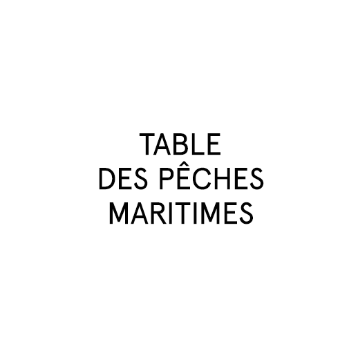 _logo_professionel_0008_Table--des-pêches--maritimes.png