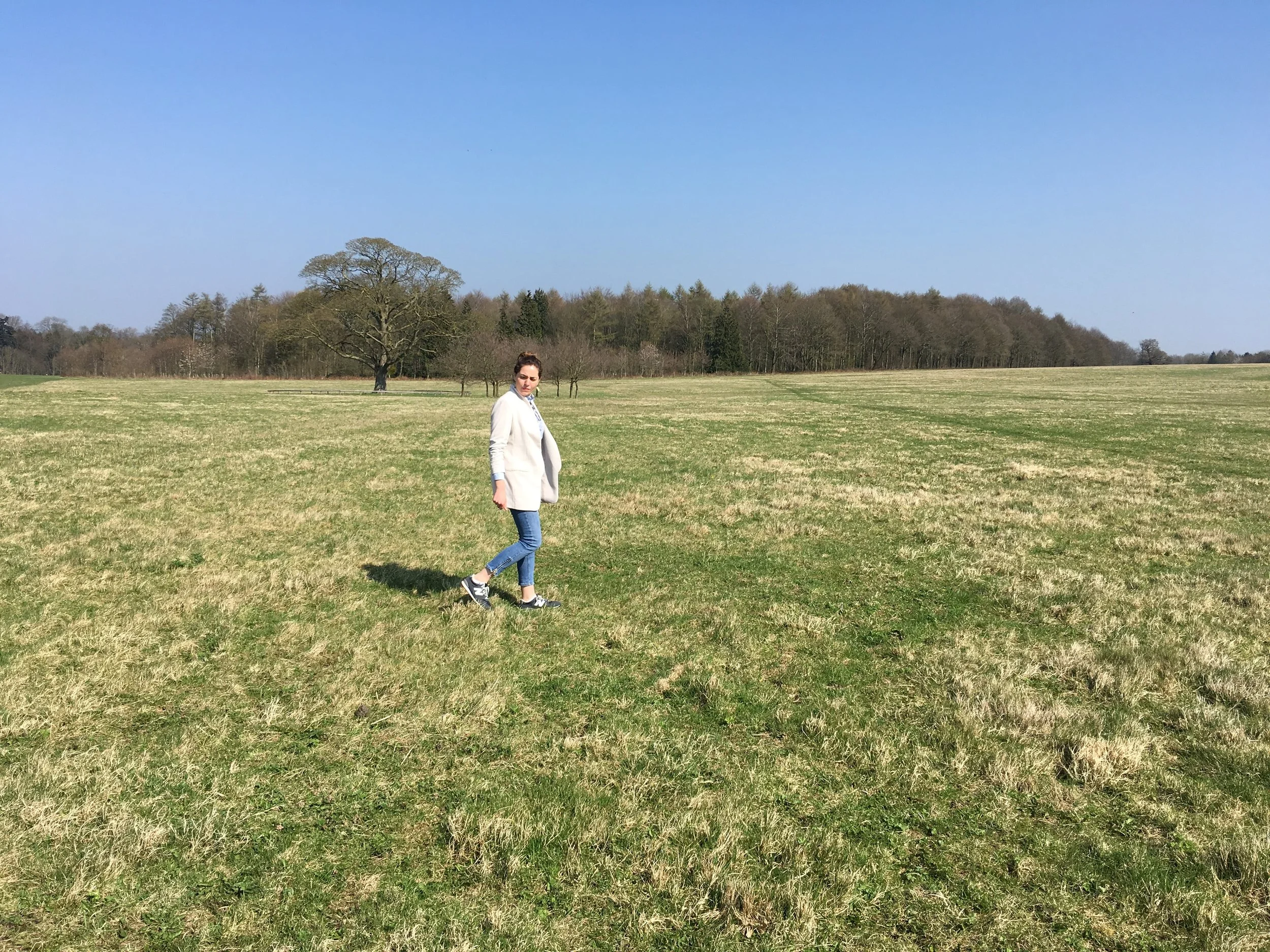 Cristina investigates