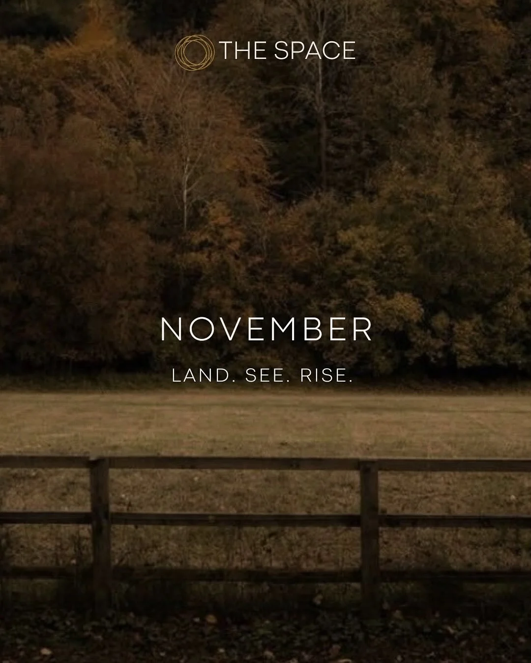 Our November blog is LIVE! 🍂

Reflections by @shannareneem 
Playlist cultivated by @lindsaystollenwerk_ 
And a little meditation sprinkled in from our Team. 

Cozy up this morning and take a read. Link in bio ☕️