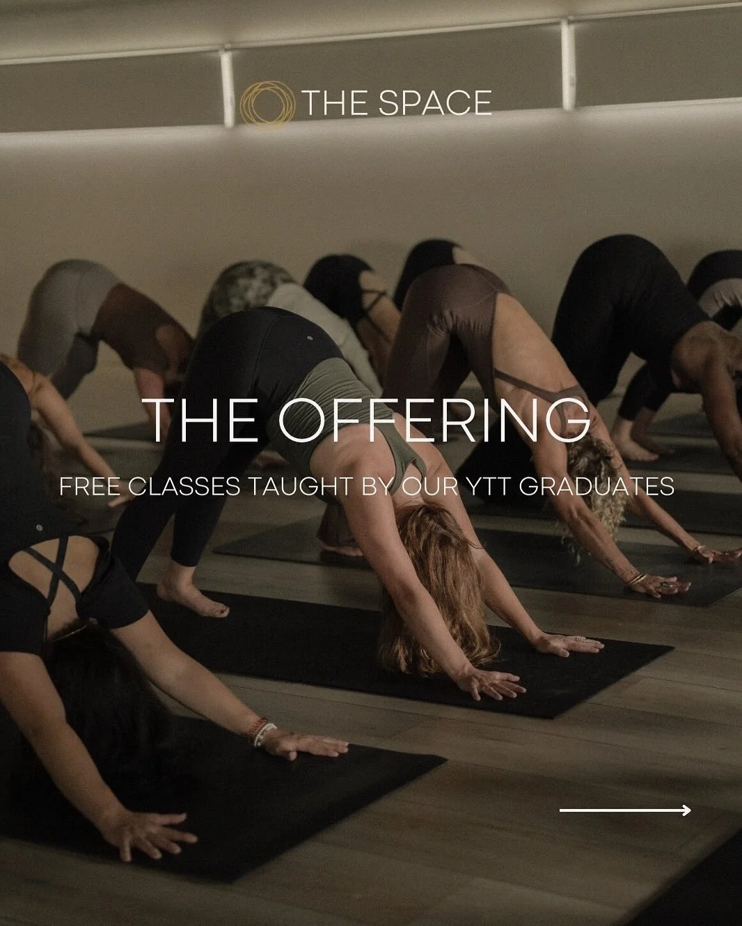 Free classes for our community, and supporting our (almost!!) YTT graduates &mdash; what a perfect combo. 

Join us in celebrating these incredible humans. Book on MindBody 🪄❤️