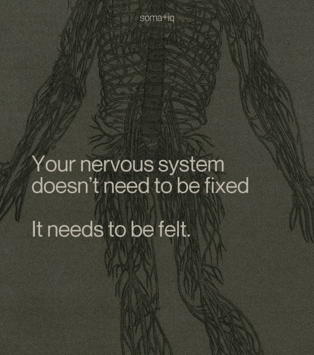 Oof 😮&zwj;💨❤️&zwj;🔥

Thank you for this one @somaticrelease ⚡️
One of the biggest things we practice in our four walls &mdash; join us and join you.