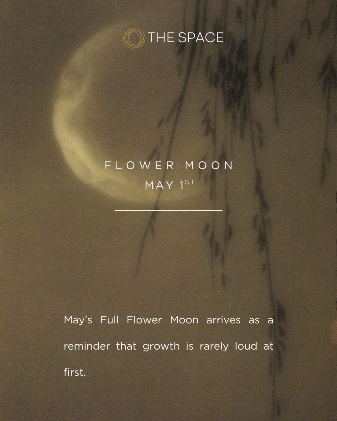 On the eve of the Flower Moon 💐 we hope you&rsquo;ll take time to pause and reflect on what might find you. 

A moon to remind us of what seeds we planted in the dark, how it&rsquo;s all about to emerge, softly. 

Let this Flower Moon illuminate you