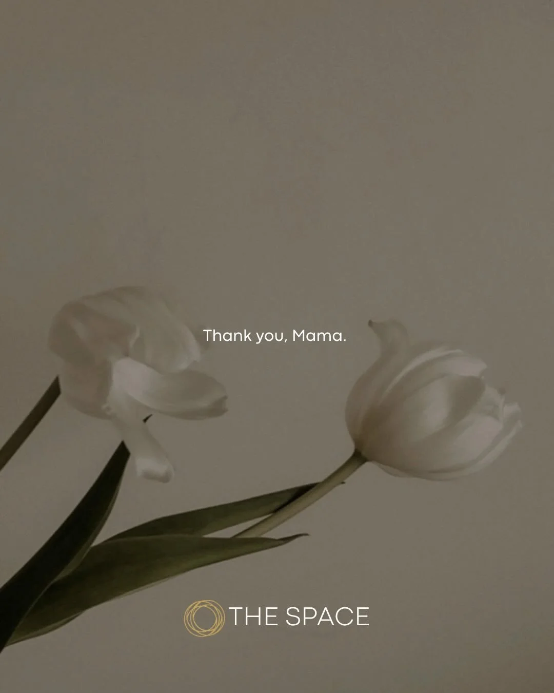 Sending you love today 💐

We see you.
We respect the heck out of you.
The mothers, the nurturers, the women holding so much together behind the scenes.

Thank YOU for all that you carry and all that you are. 💝