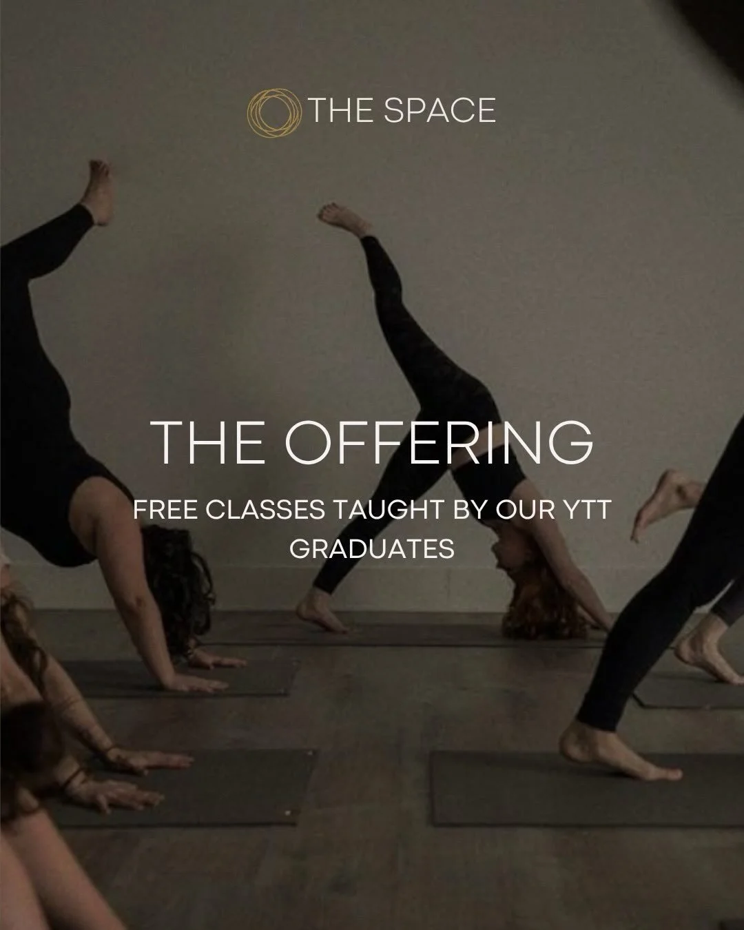 We enter Offering Season this week ✨
The final chapter of our 3 month Yoga Teacher Training journey.

This is an opportunity for our trainees to step into leadership and offer the community a one hour class that reflects their growth, learning, and e