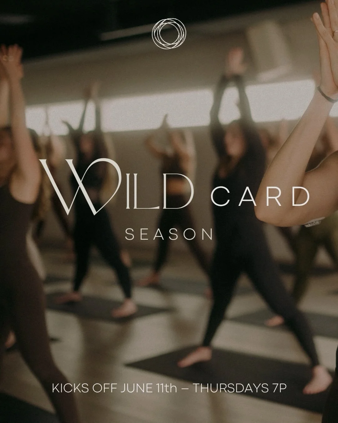 We are so excited to kick off a new Wild card season next Thursday at 7pm!! These classes are unique&mdash; mini-workshop vibes that our teachers create and teach. You never know what you&rsquo;ll get that&rsquo;s the fun part &hearts;️ here&rsquo;s 