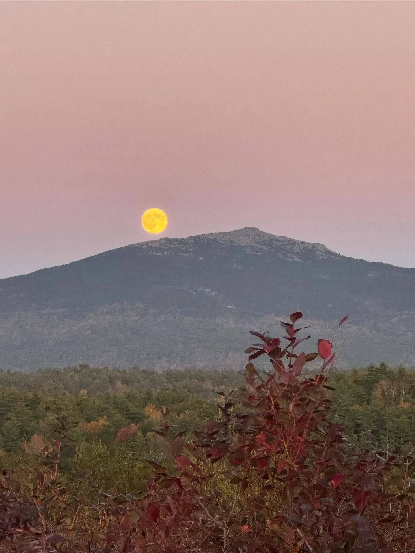 Full harvest moon rising up over Monadnock tonight 🌕
