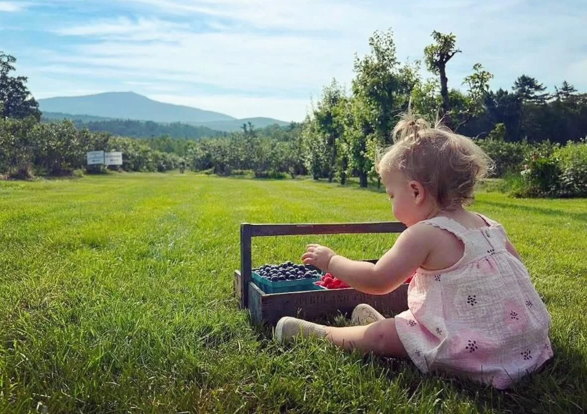 Building core memories on the farm 🥰

Currently picking blueberries, raspberries, red currants and gooseberries. The black and champagne currants should be ready this weekend!

Open daily 8am to 6pm 🫐🐐

#pyo #pyofarm #pyoberries #pyoblueberries #p