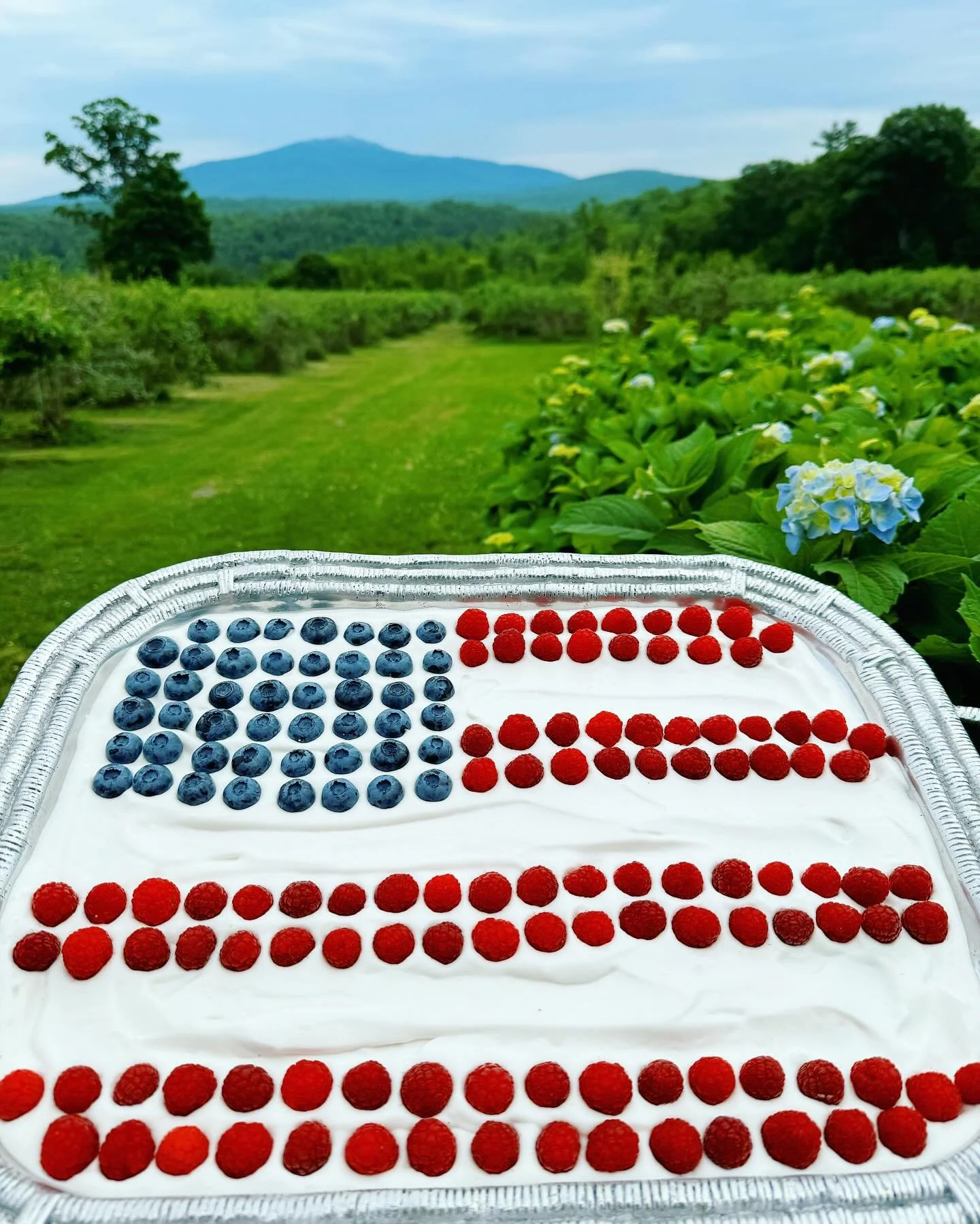 We&rsquo;re SO excited to announce that we&rsquo;ll be opening for the season this Sunday, July 6th at 8am!!! This recent warm weather has really helped the berries ripen up. The blueberries, raspberries and red currants will be ready to pick 🫐

*Ou