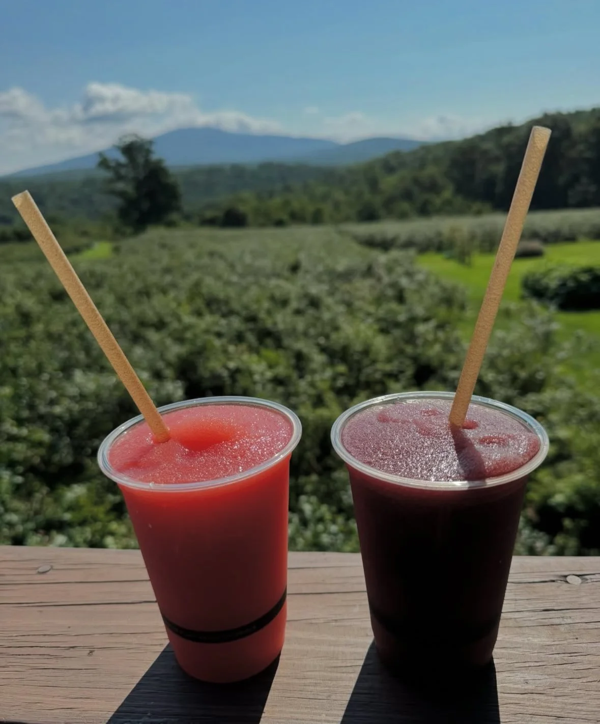 Slushies.jpg