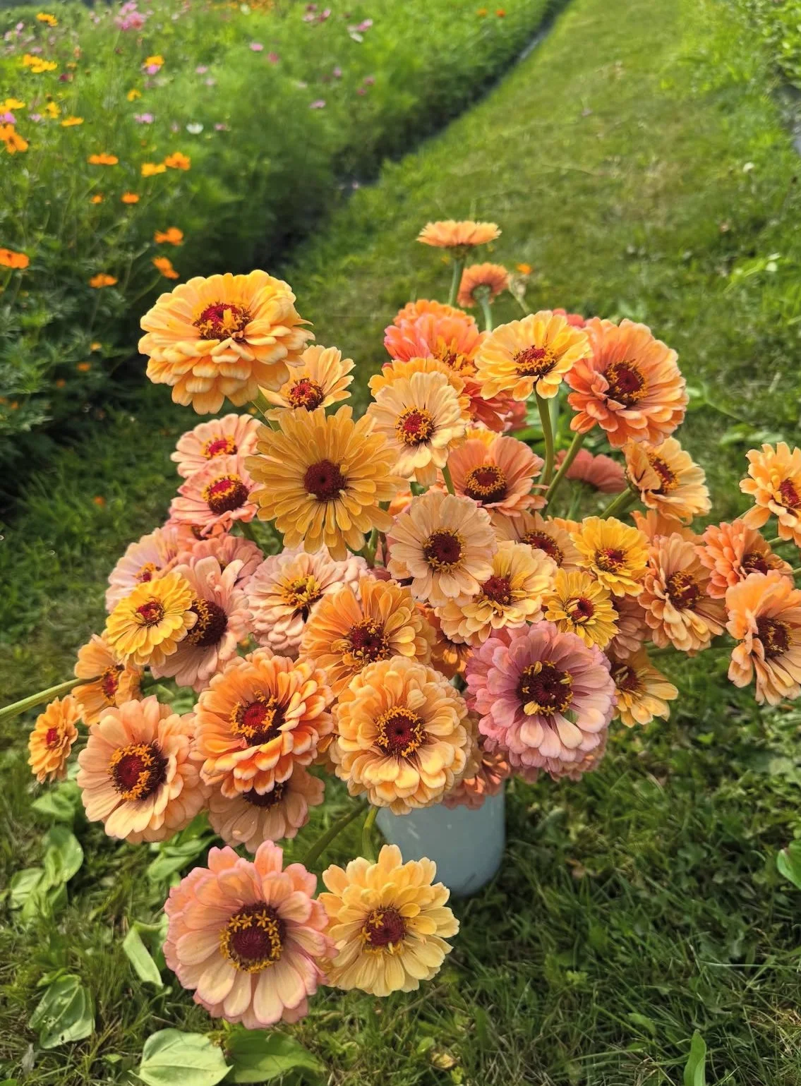 monadnock-berries-zinnias.jpg