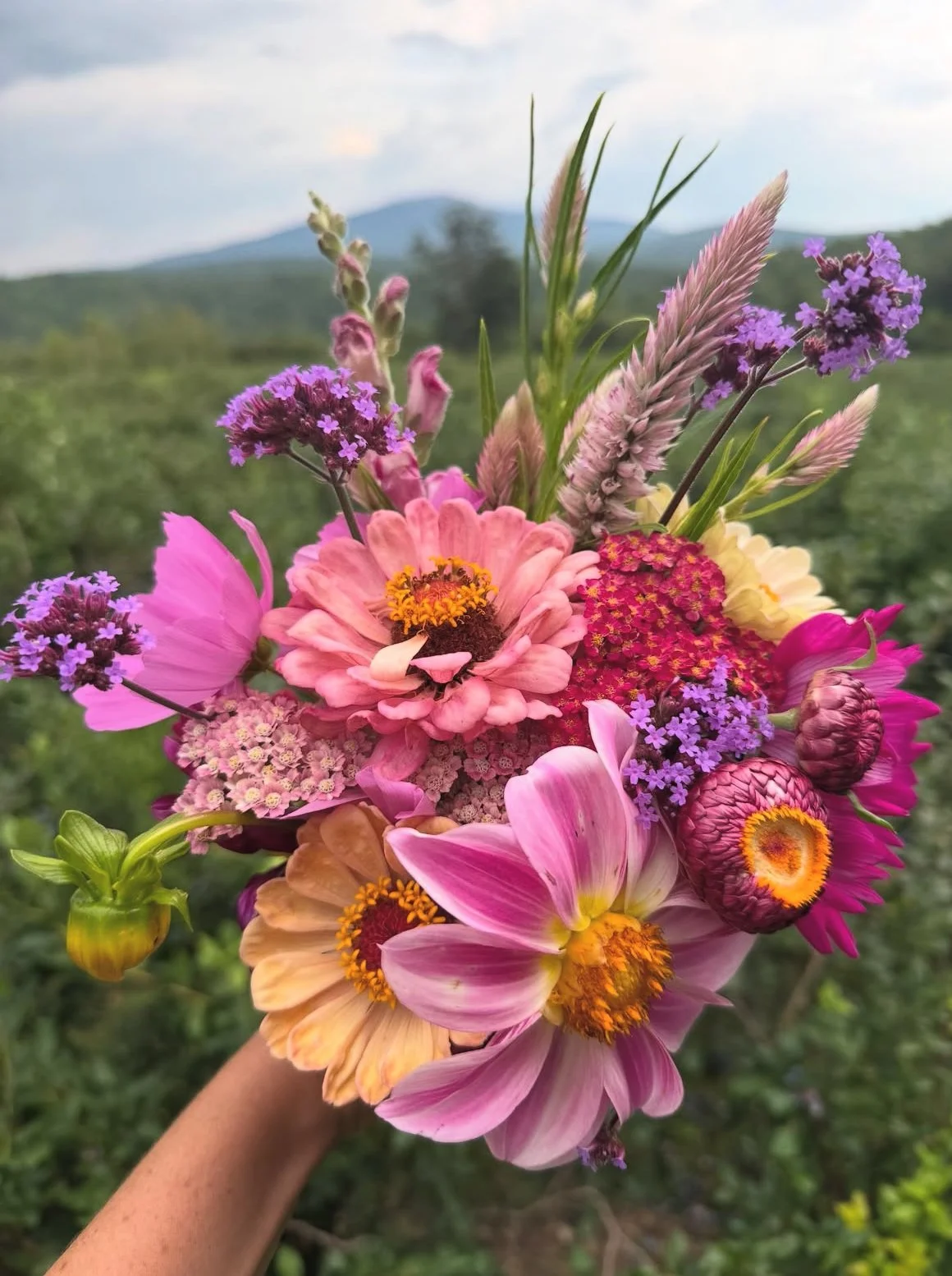 monadnock-berries-mixed-bouquets.jpg