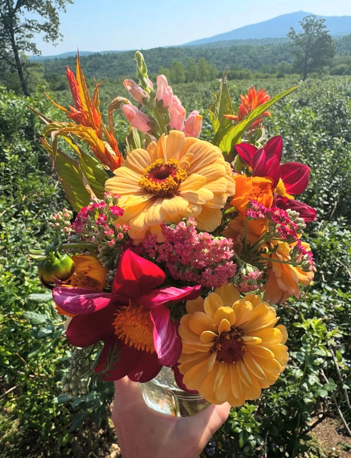 monadnock-berries-pre-picked-bouquets.jpg