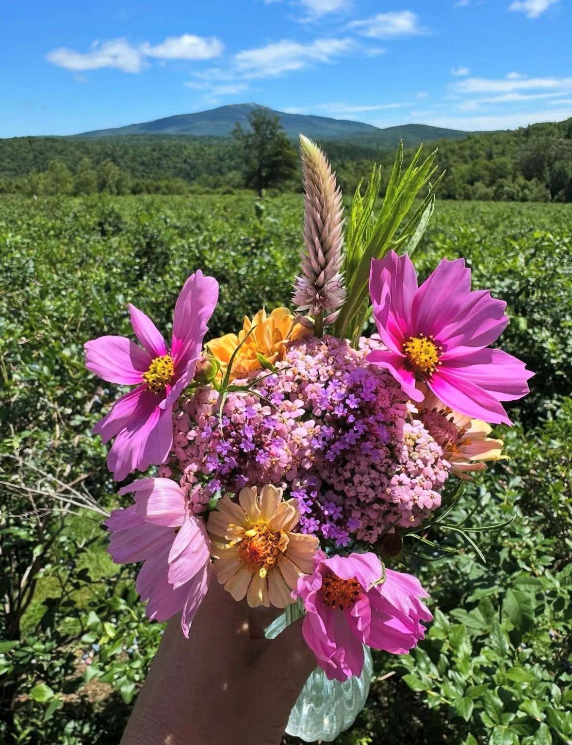monadnock-berries-pre-picked-bouquets-2.jpg
