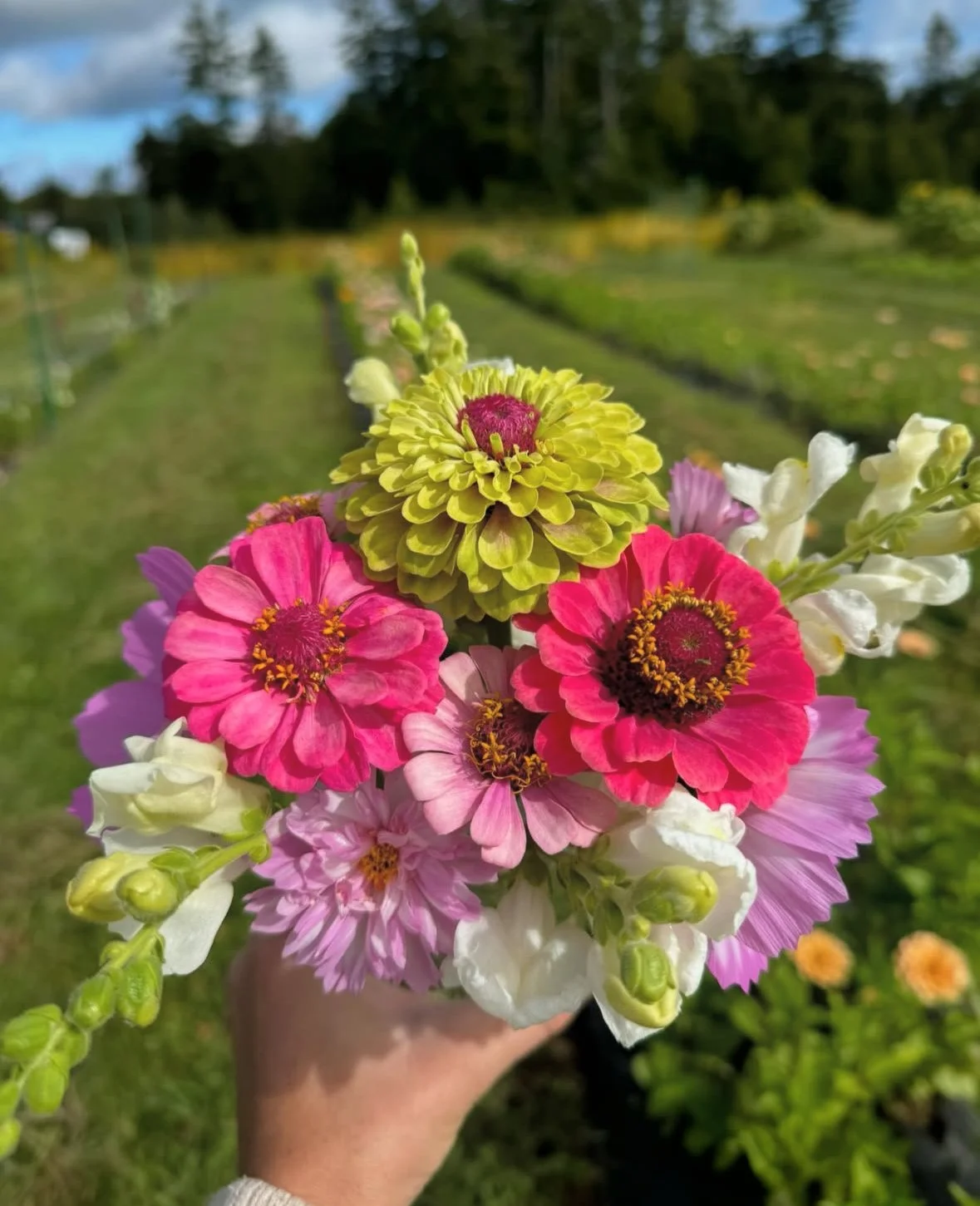 monadnock-berries-pyo-flowers-bouquet.jpg