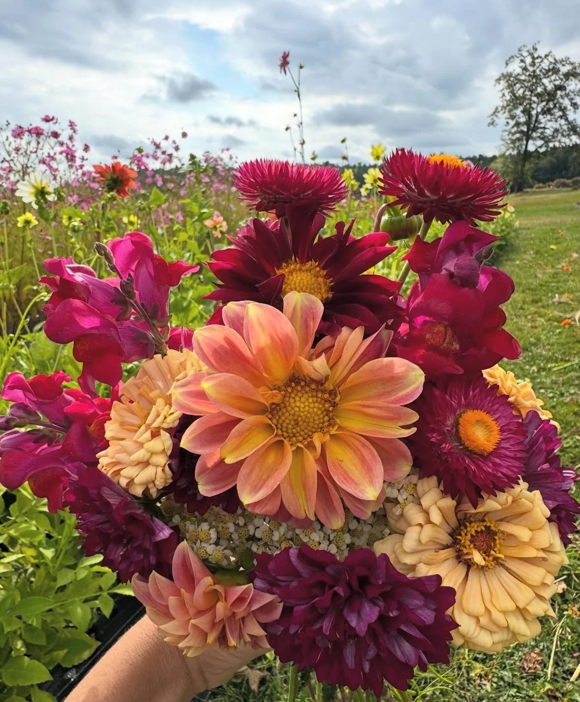 monadnock-berries-mixed-bouquet-2.jpg