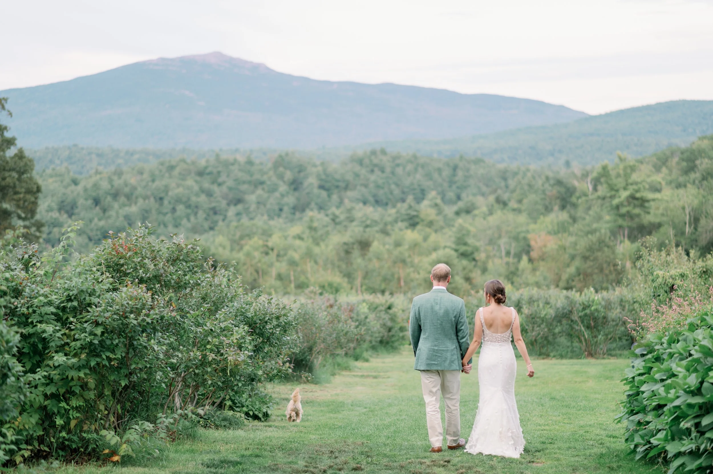 wedding-mountain-photo-monadnock-berries.jpg