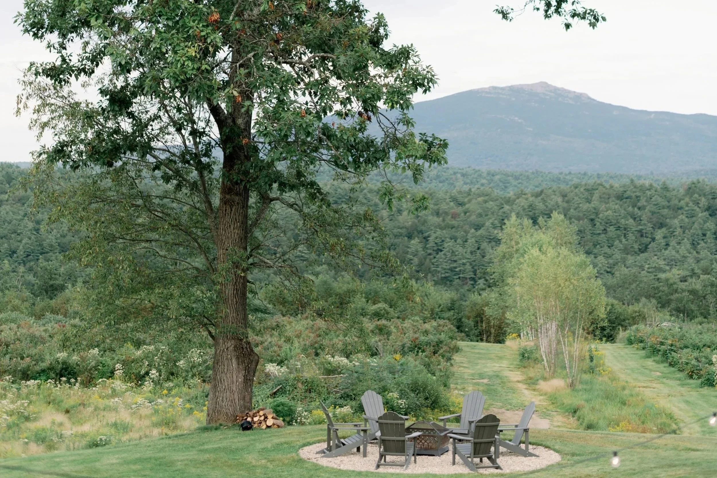 wedding-firepit-monadnock-berries.jpg