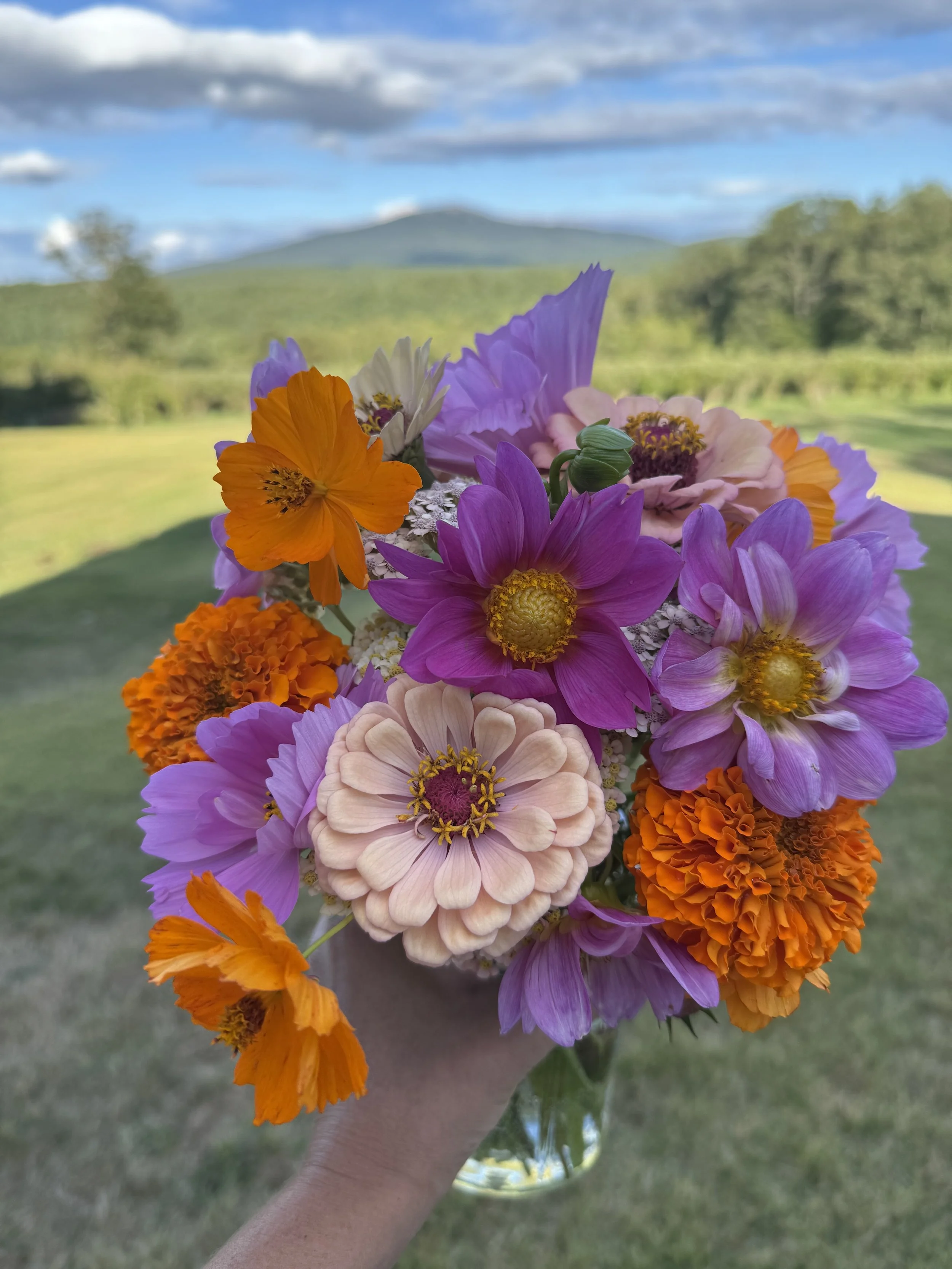 flower-bouquet-purple-orange-monadnock-berries.jpeg