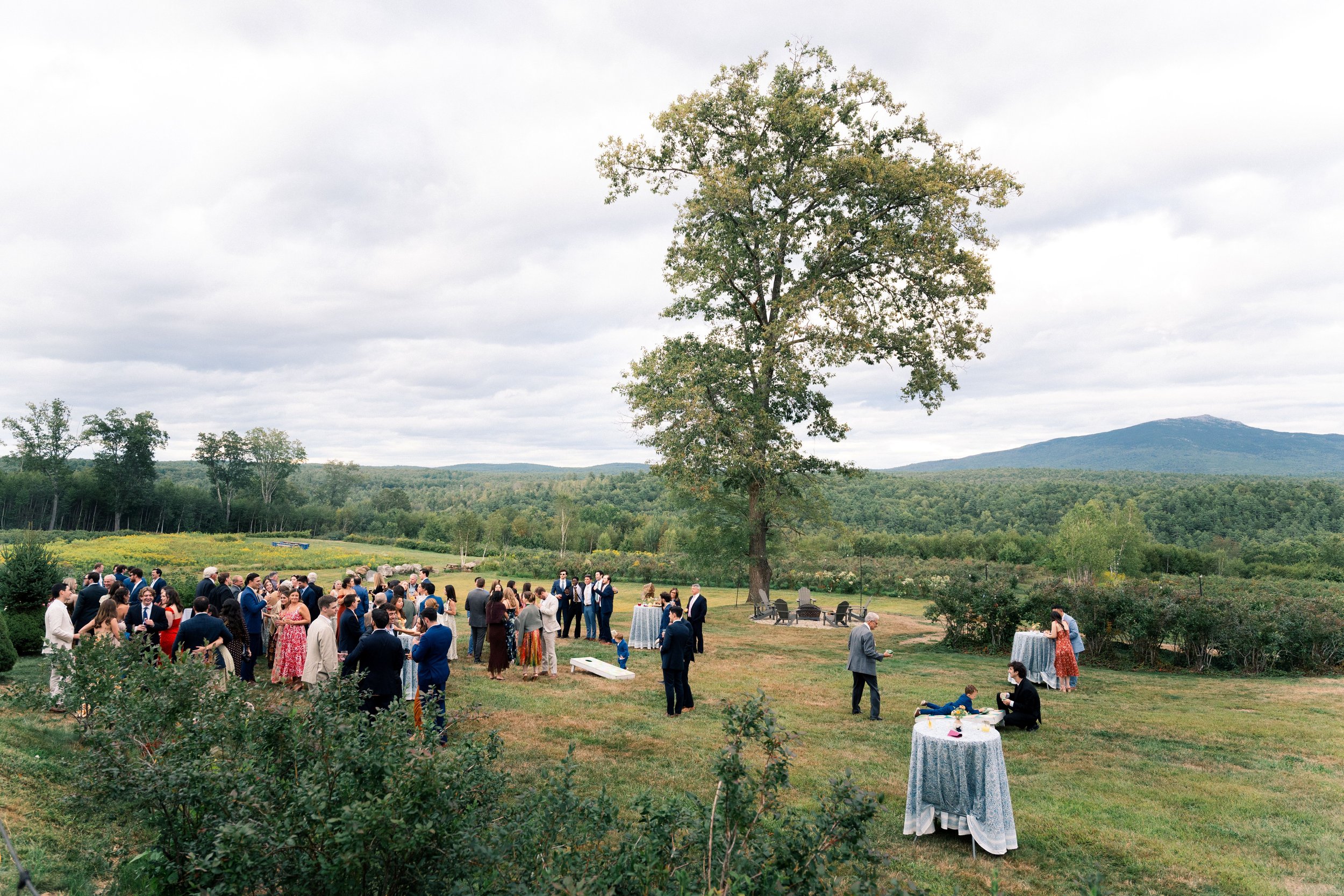 cocktail-hour-mountain-view-monadnock-berries.jpg