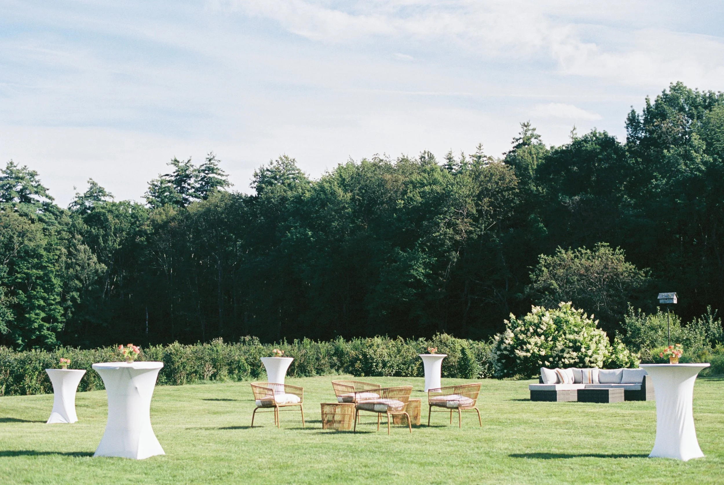 cocktail-hour-monadnock-berries.jpg
