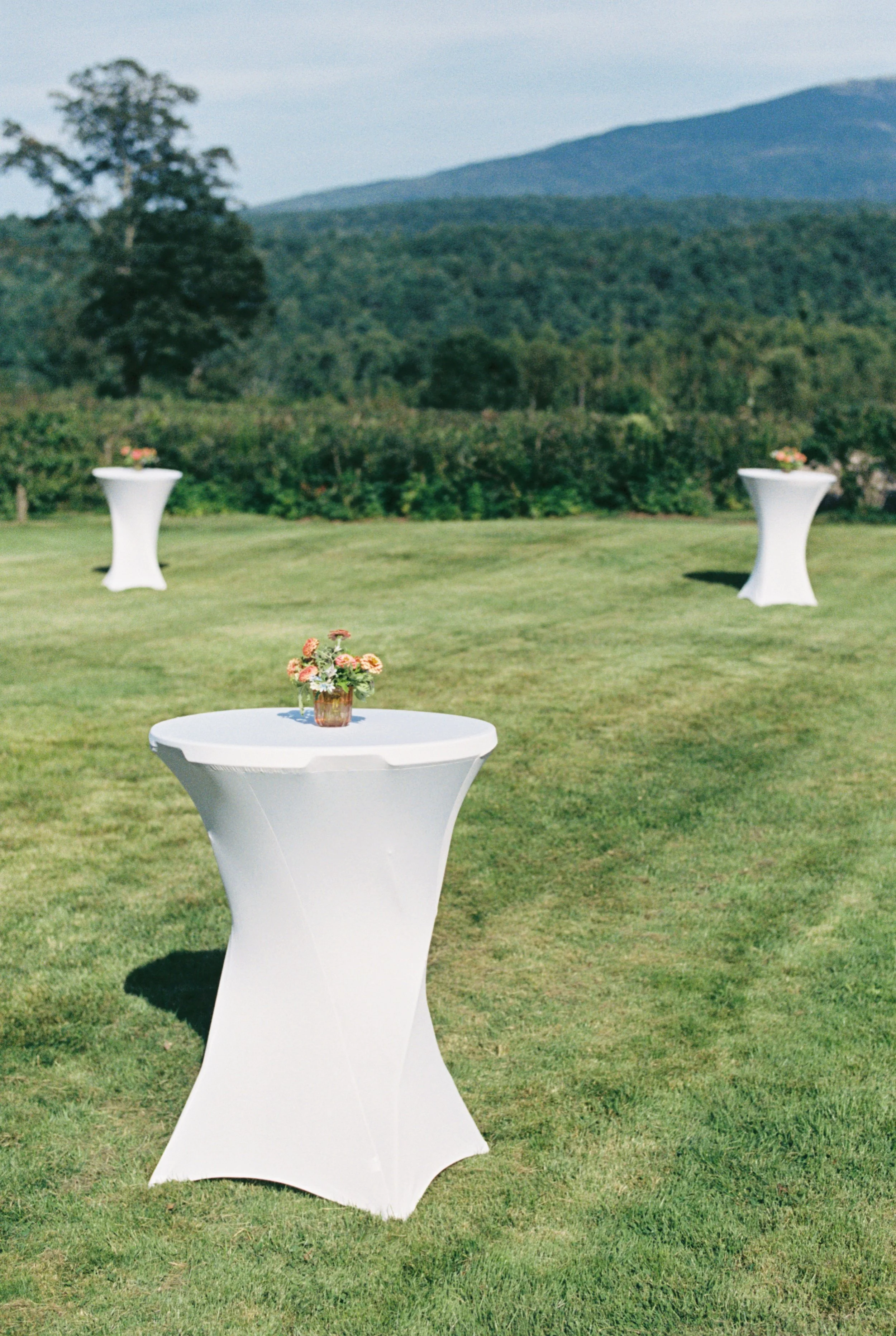 wedding-cocktail-lawn-monadnock-berries.jpg