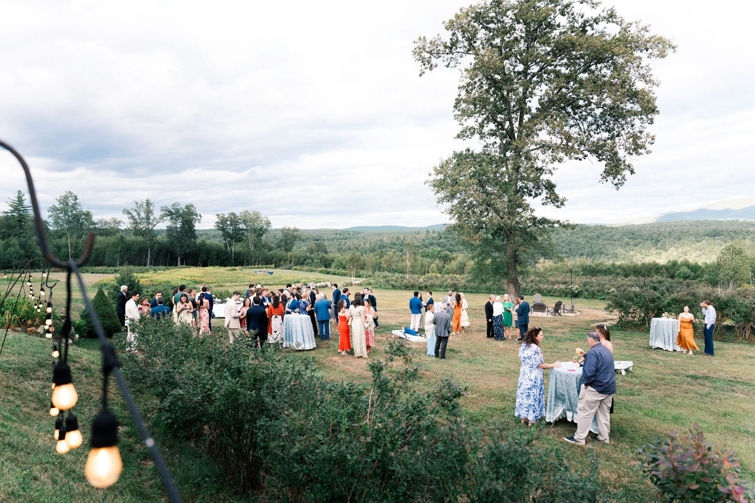 lawn-cocktail-hour-monadnock-berries.jpg