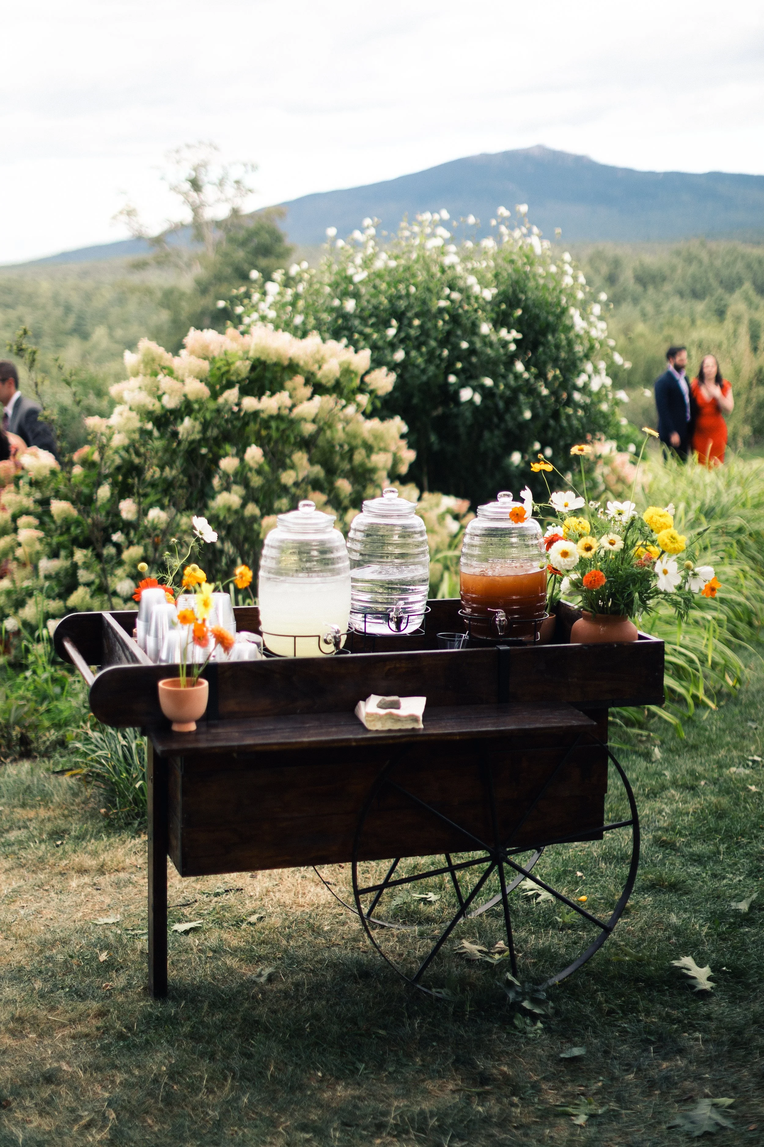 wedding-drinks-monadnock-berries.jpg