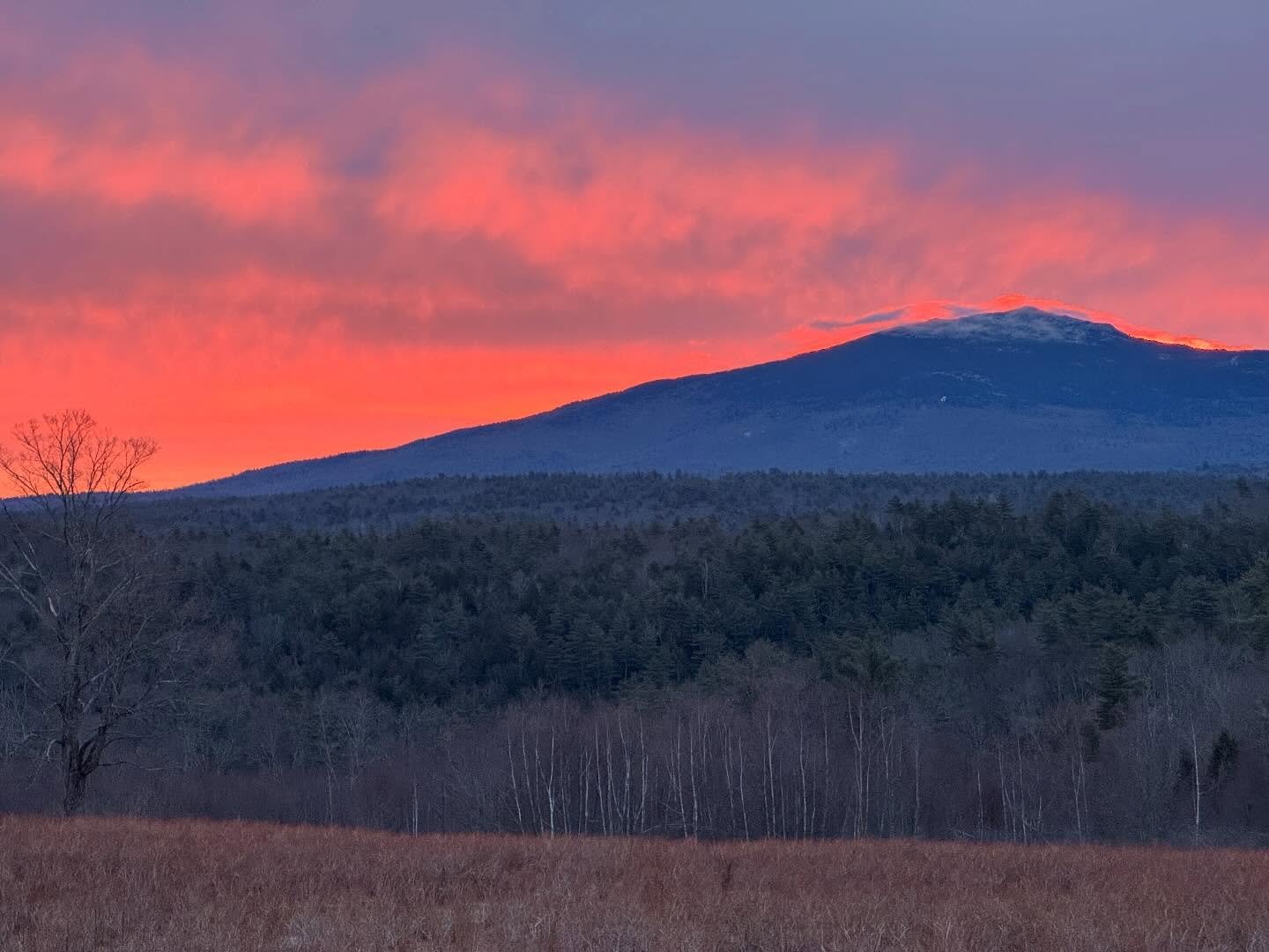 So long March ✌🏻 We anxiously waited for the snow to melt then it was back to pruning blueberry bushes and flail mowing. 

We&rsquo;re excited for the daffodils to pop out and warmer days ahead!