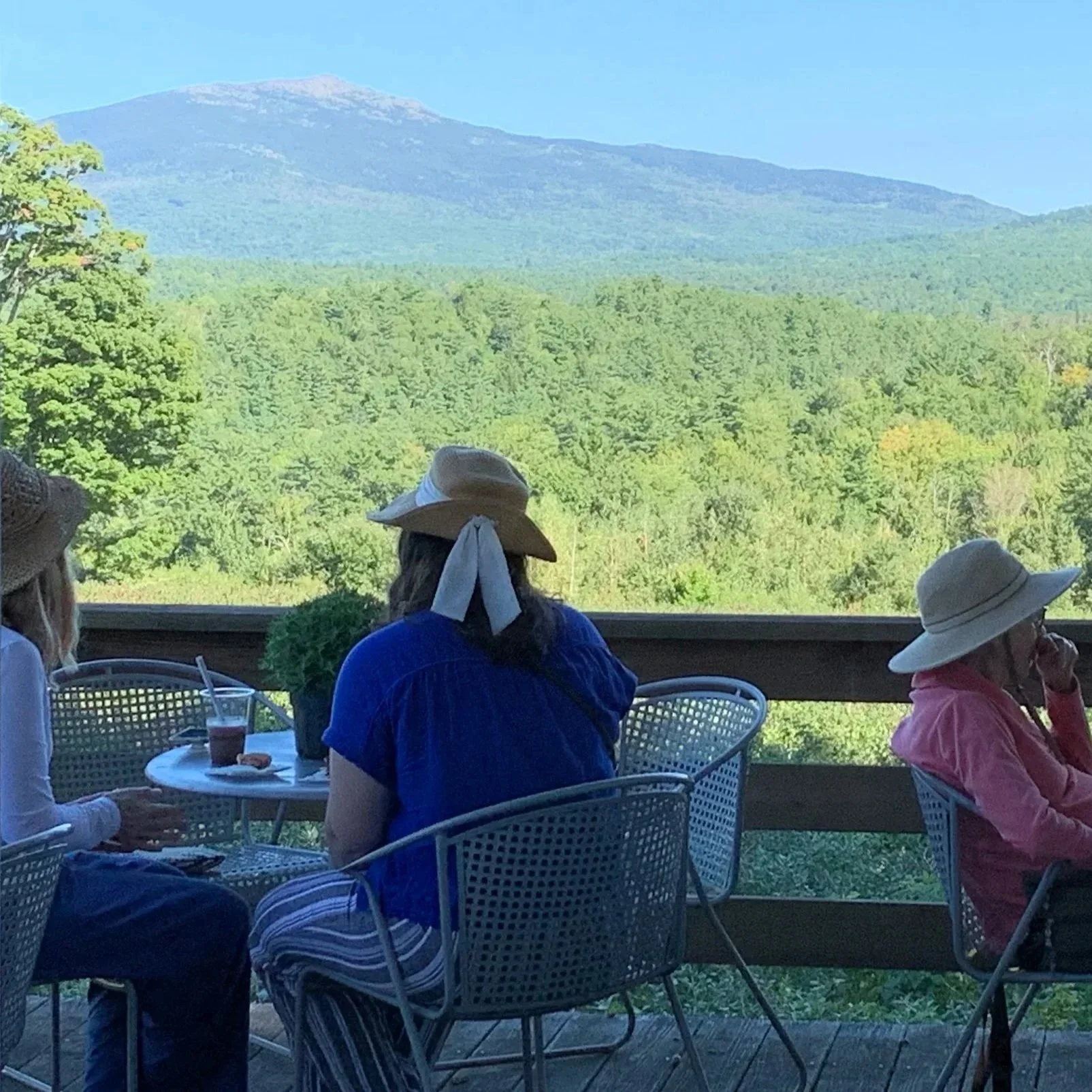 Farmstand-Deck-Monadnock-Berries.jpg