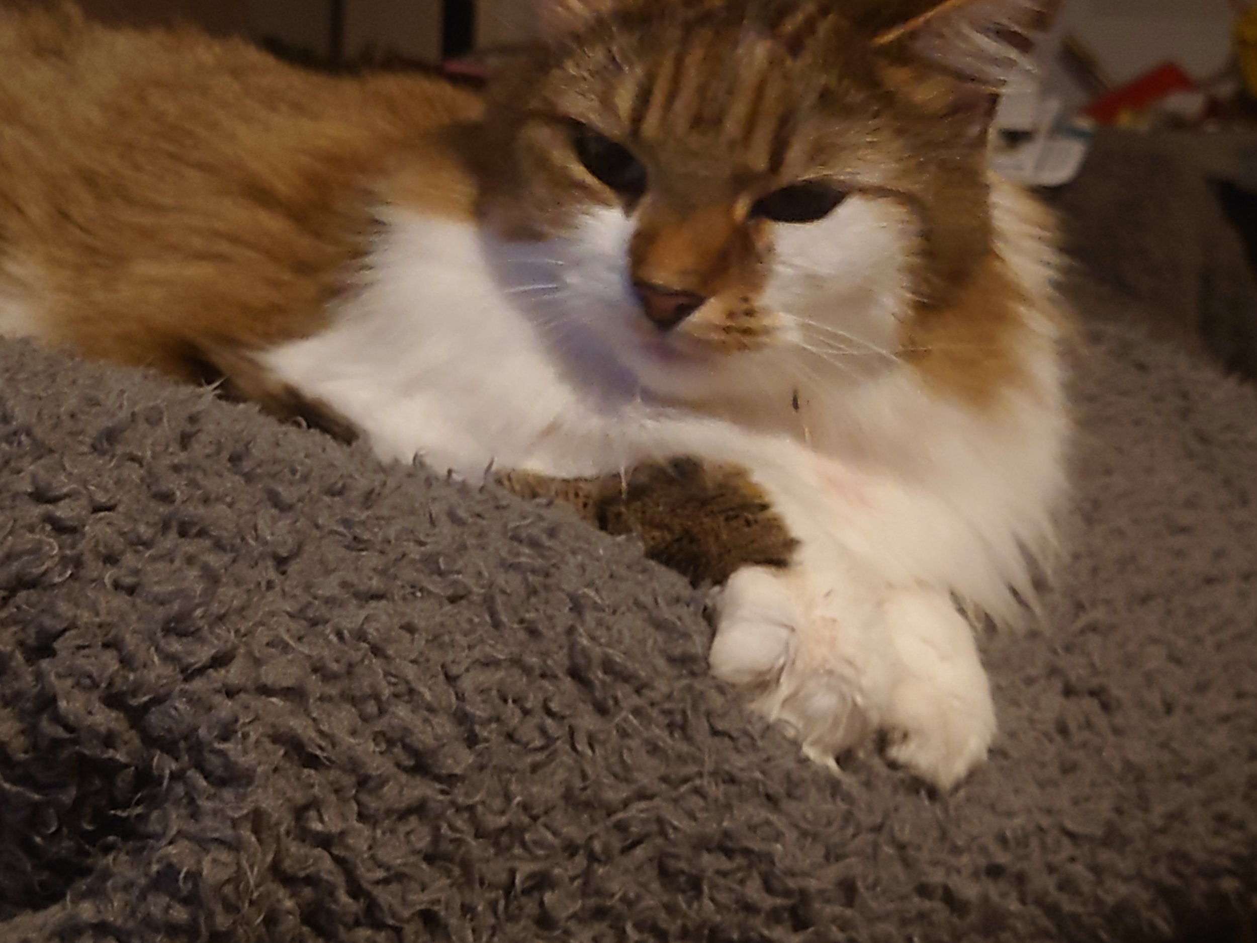 DSC_1892.JPG