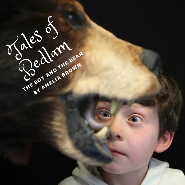 44 The Boy and the Bear 600.jpg