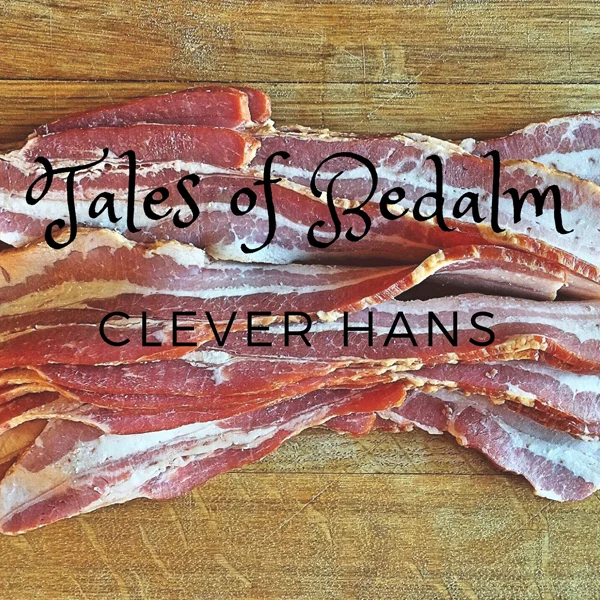 24 Clever Hans 600.jpg