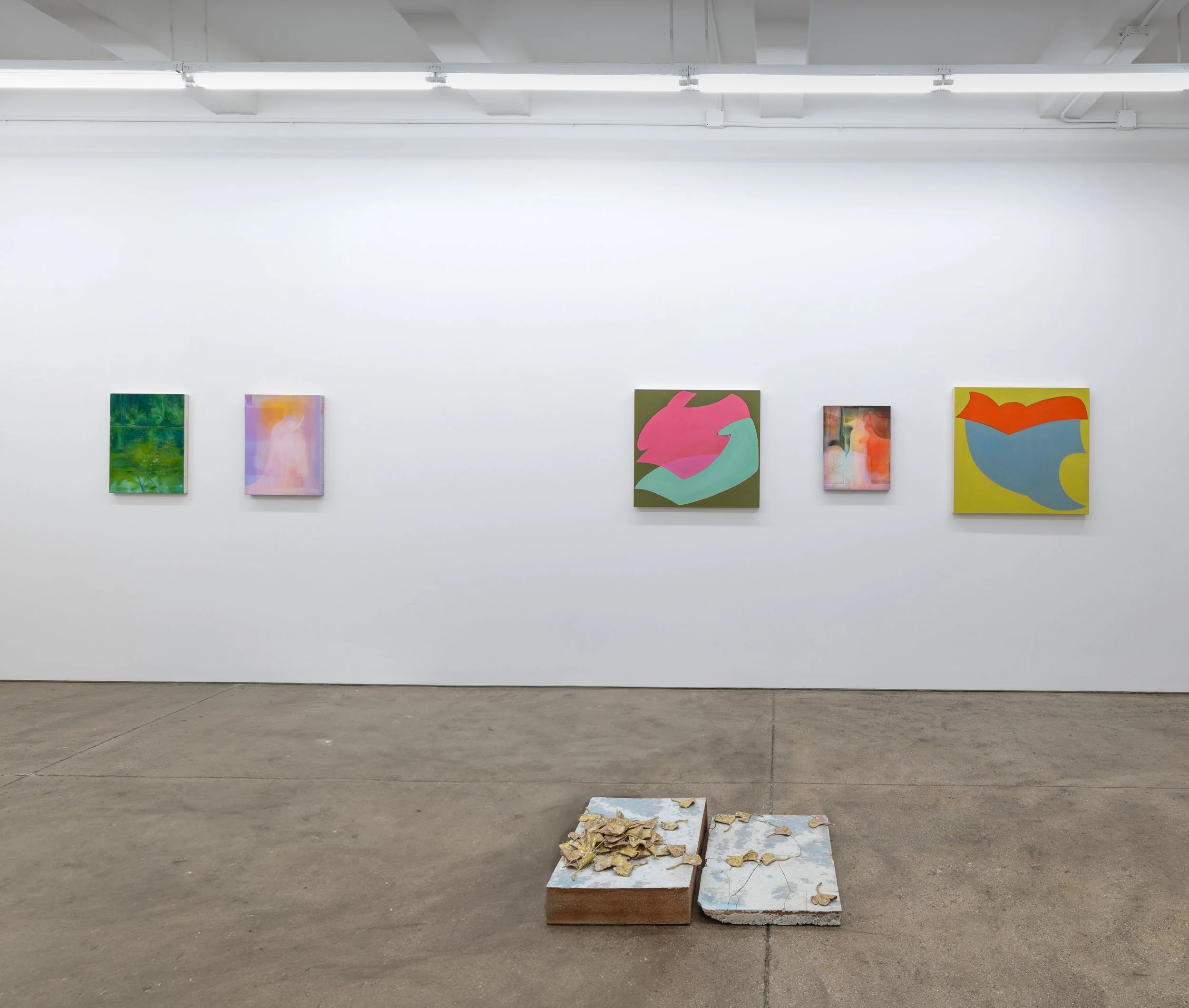  Install shot of  Remnant  