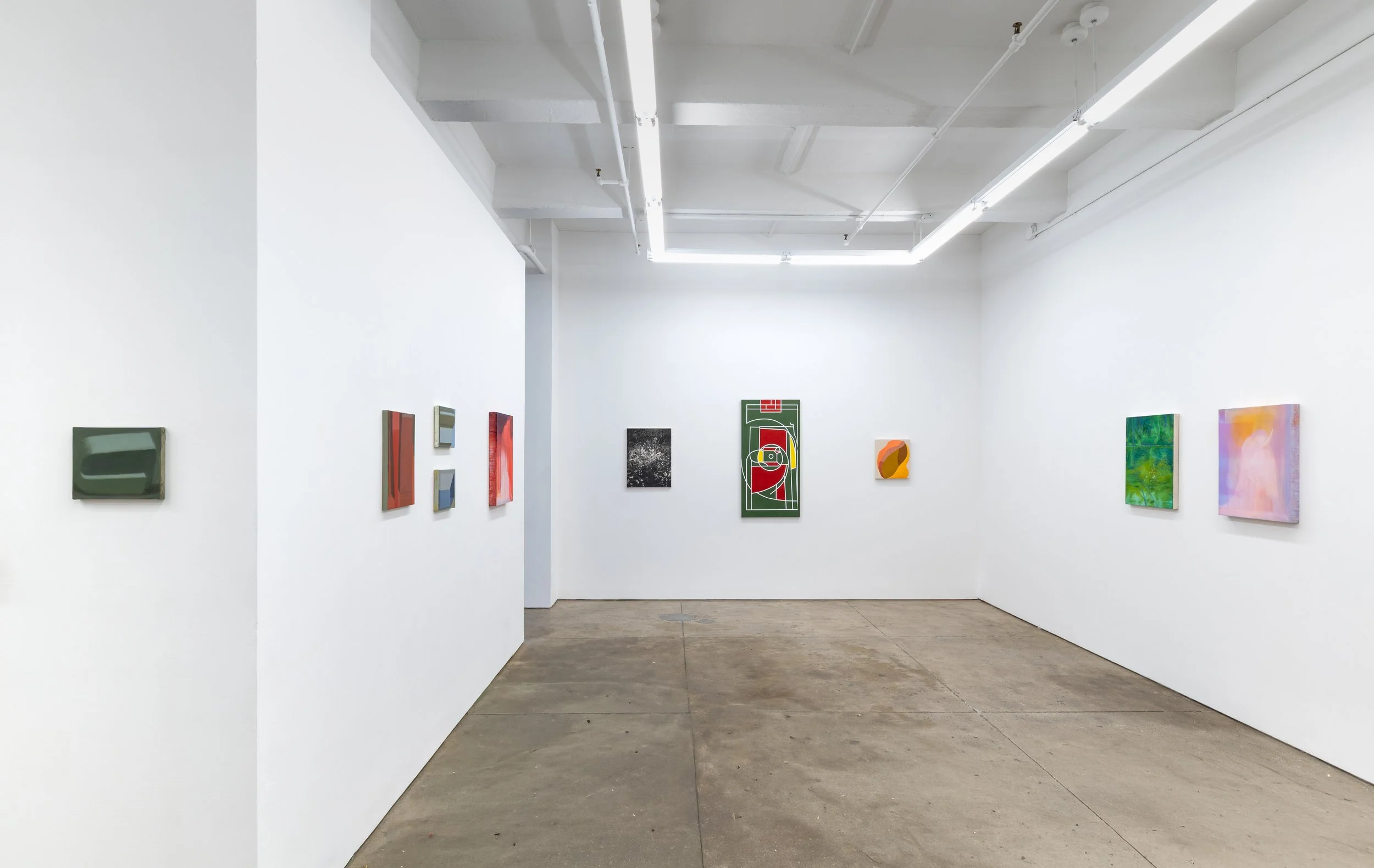  Install shot of  Wildflowers  and  Remnant  