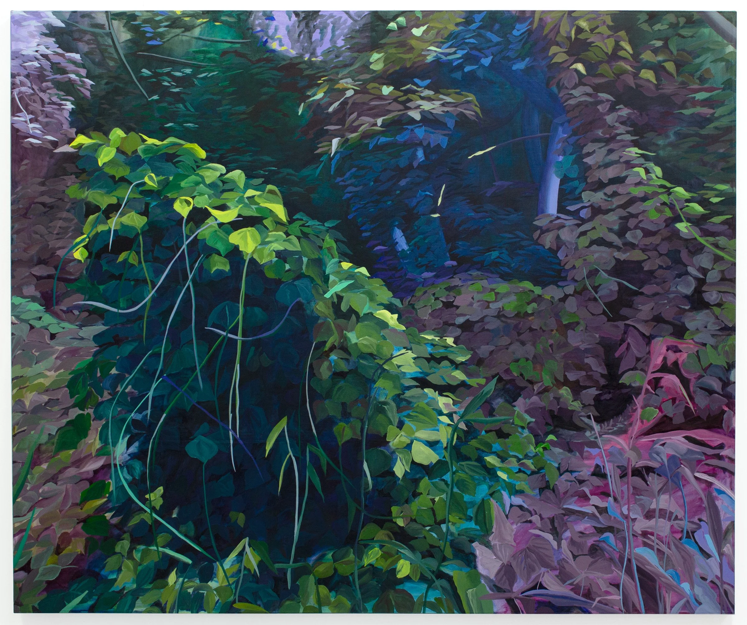   Circumambulation,  2024, oil on paper on canvas, 60 x 72 in 