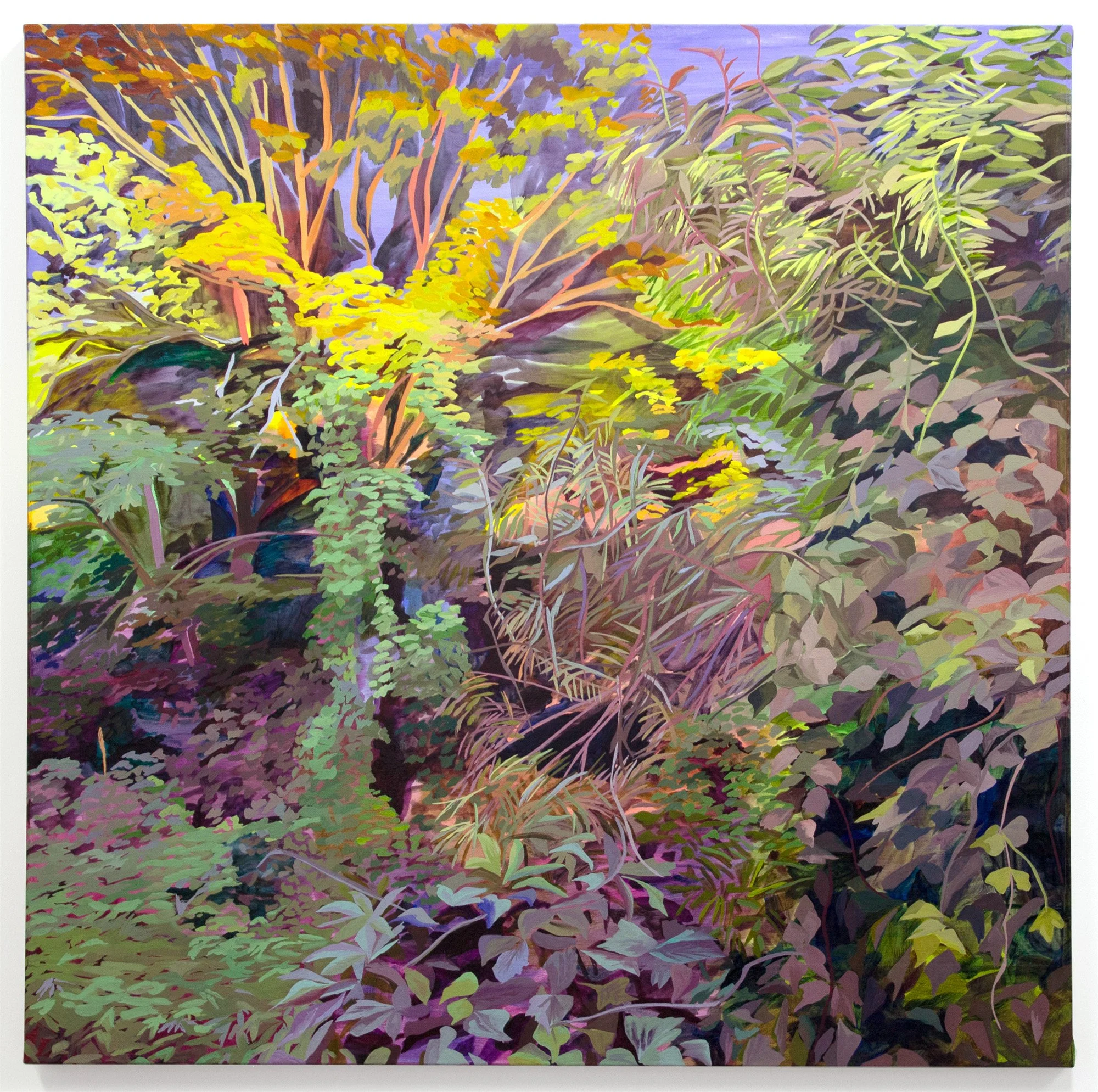   Terra Incognita,  2024, oil on paper on canvas, 48x48 in 