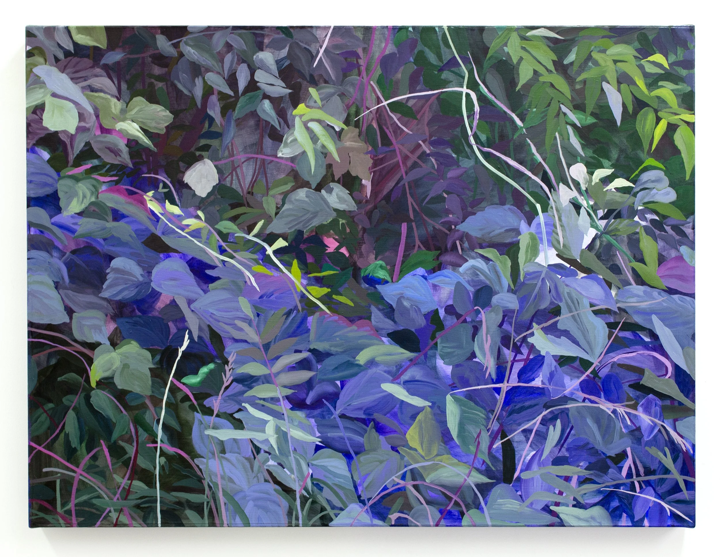   A Subdued Noise that Wants to Take Root,  2025, oil on paper on canvas, 30x40 in 