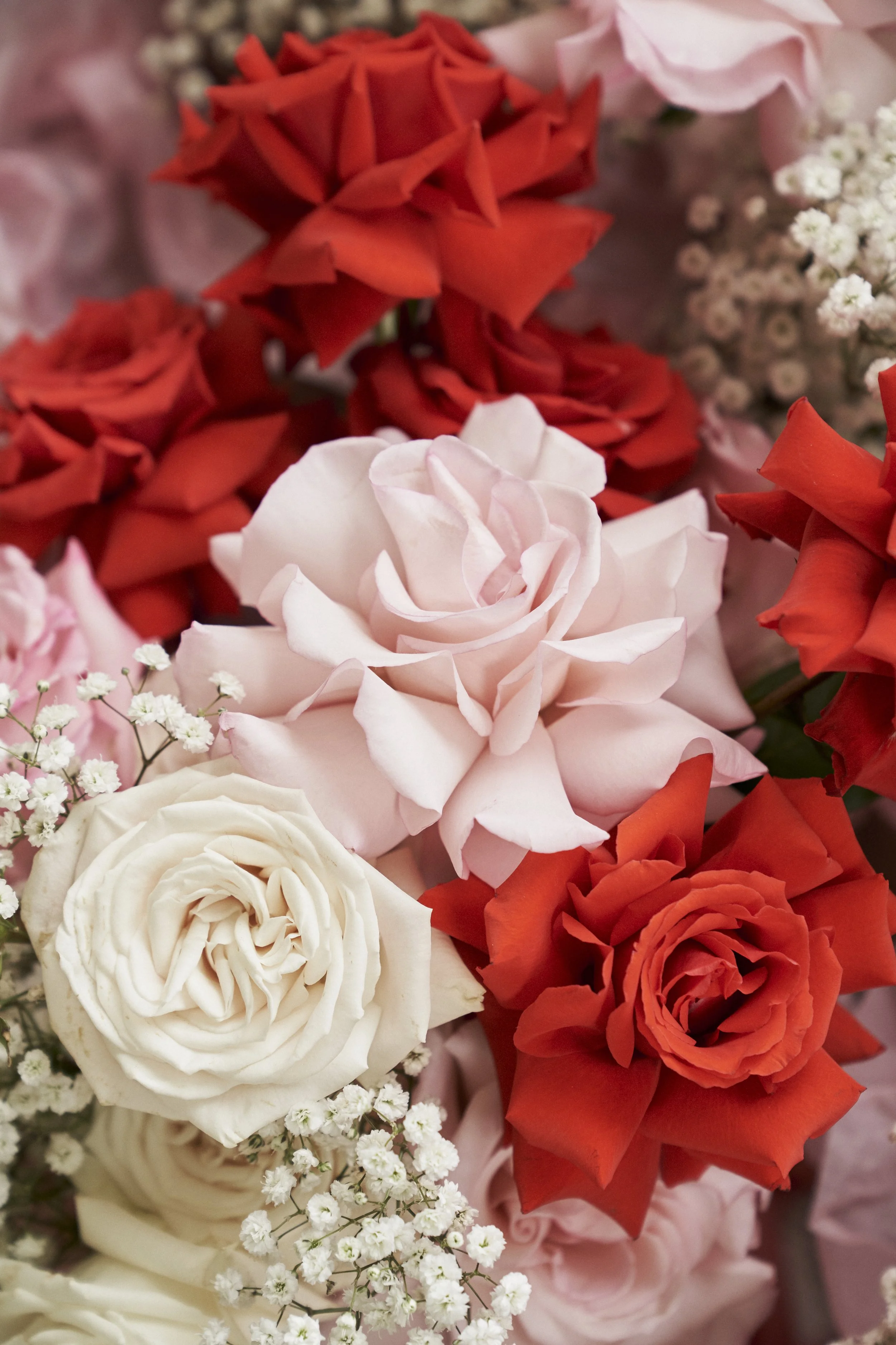 DWP_Serena&Mark-163.jpg
