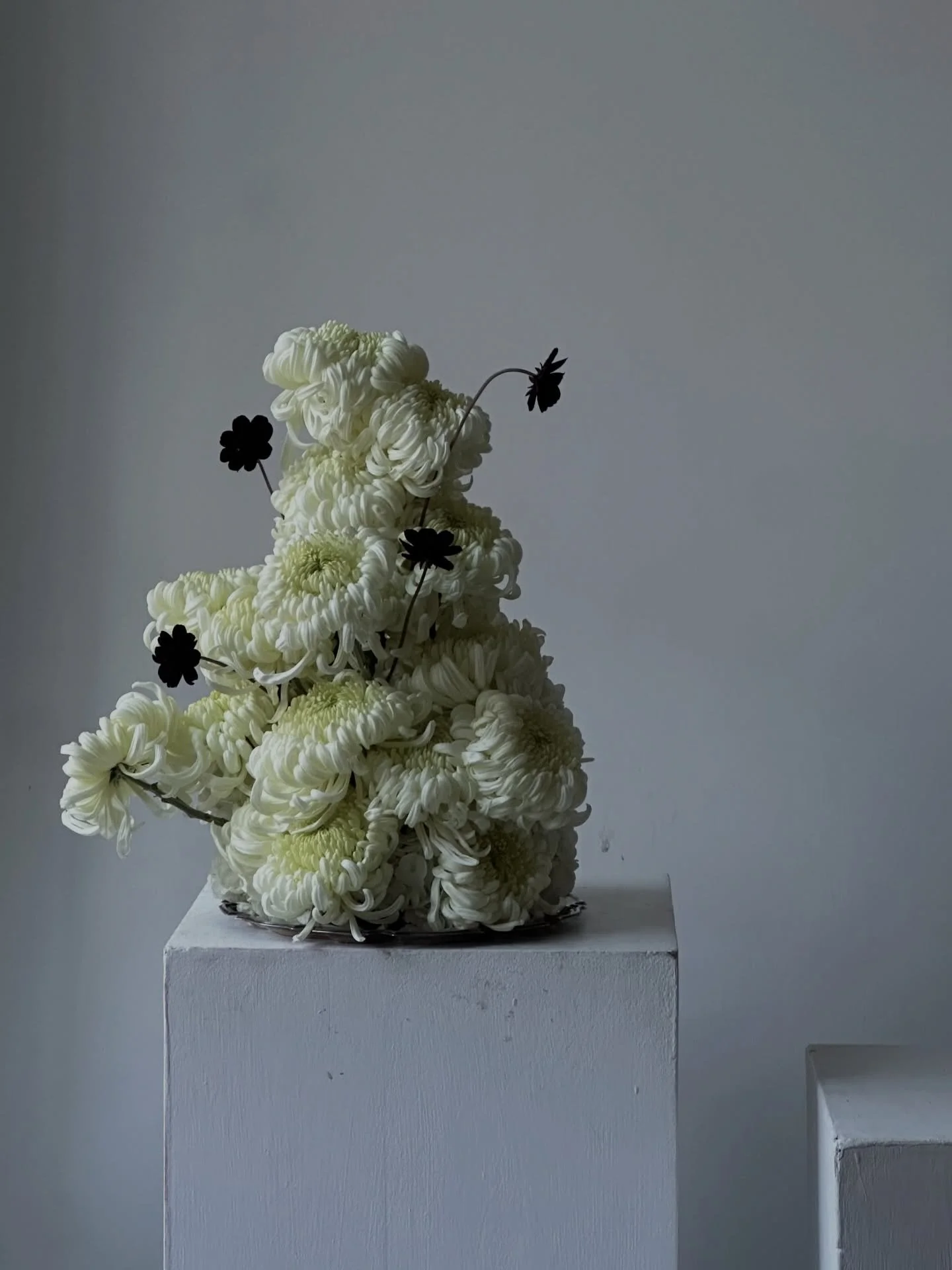 Plat du jour 🍽️

For the lovely Sian with @ar.weddings from November last year. 🧡