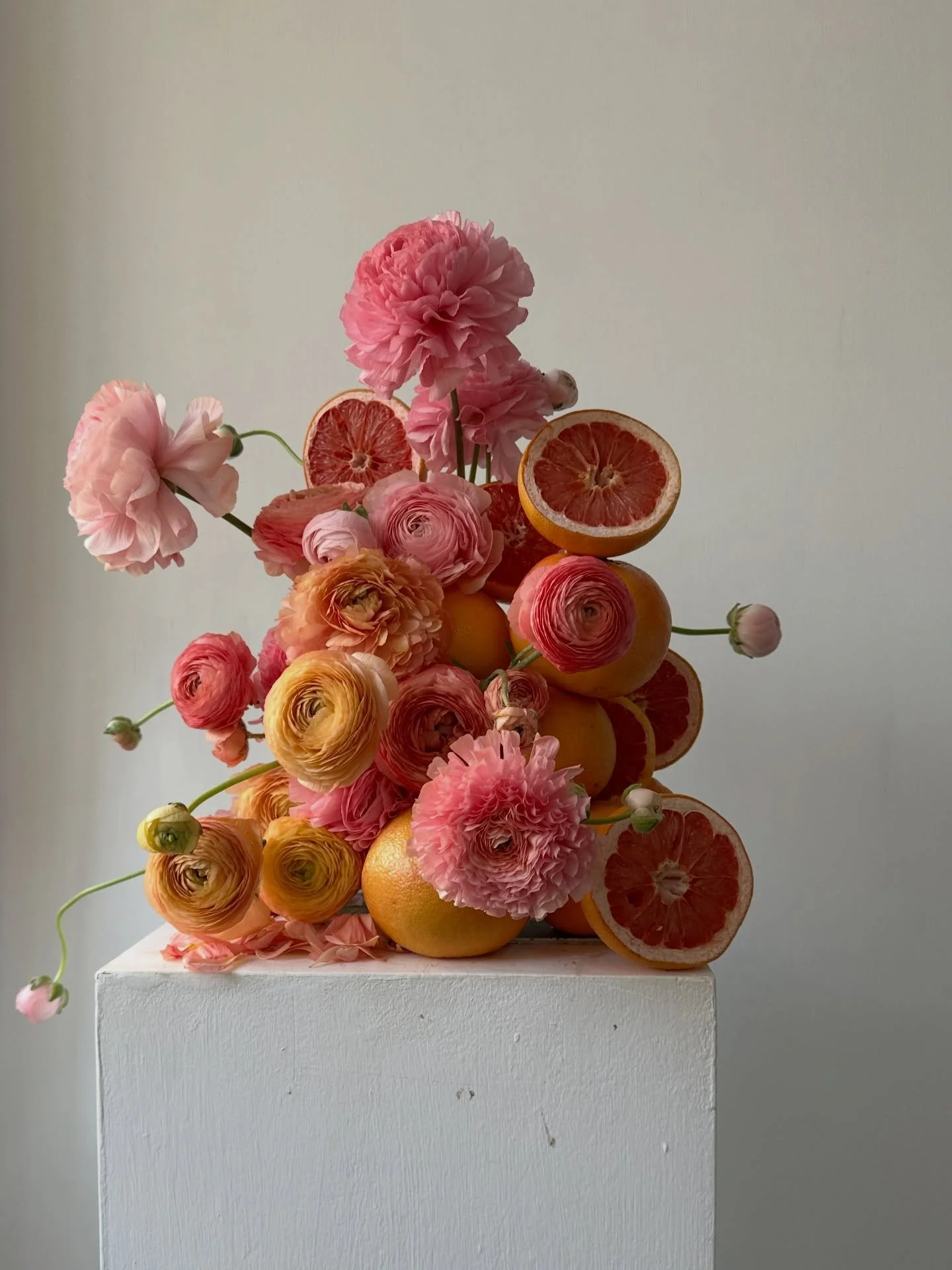 🌷🍊🦩🌴💦✨ for absolutely no reason at all! 🫠

Lush bank holiday vibes from last May with @marlston_farmgirl  ranunculus 🌞