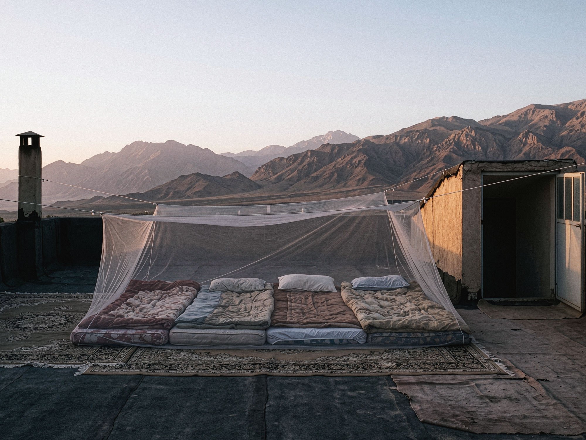 Untitled (Rooftop)