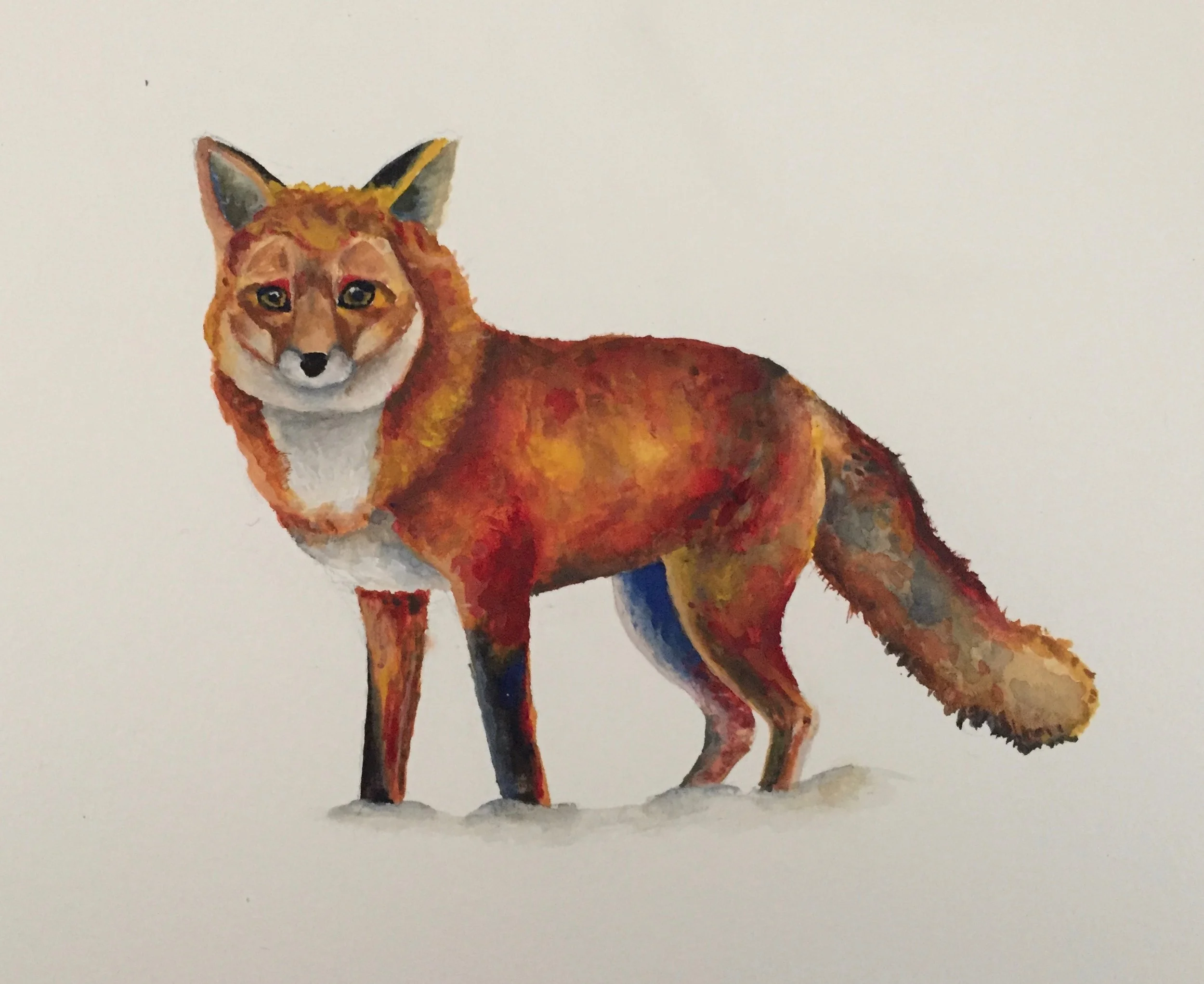 Fox