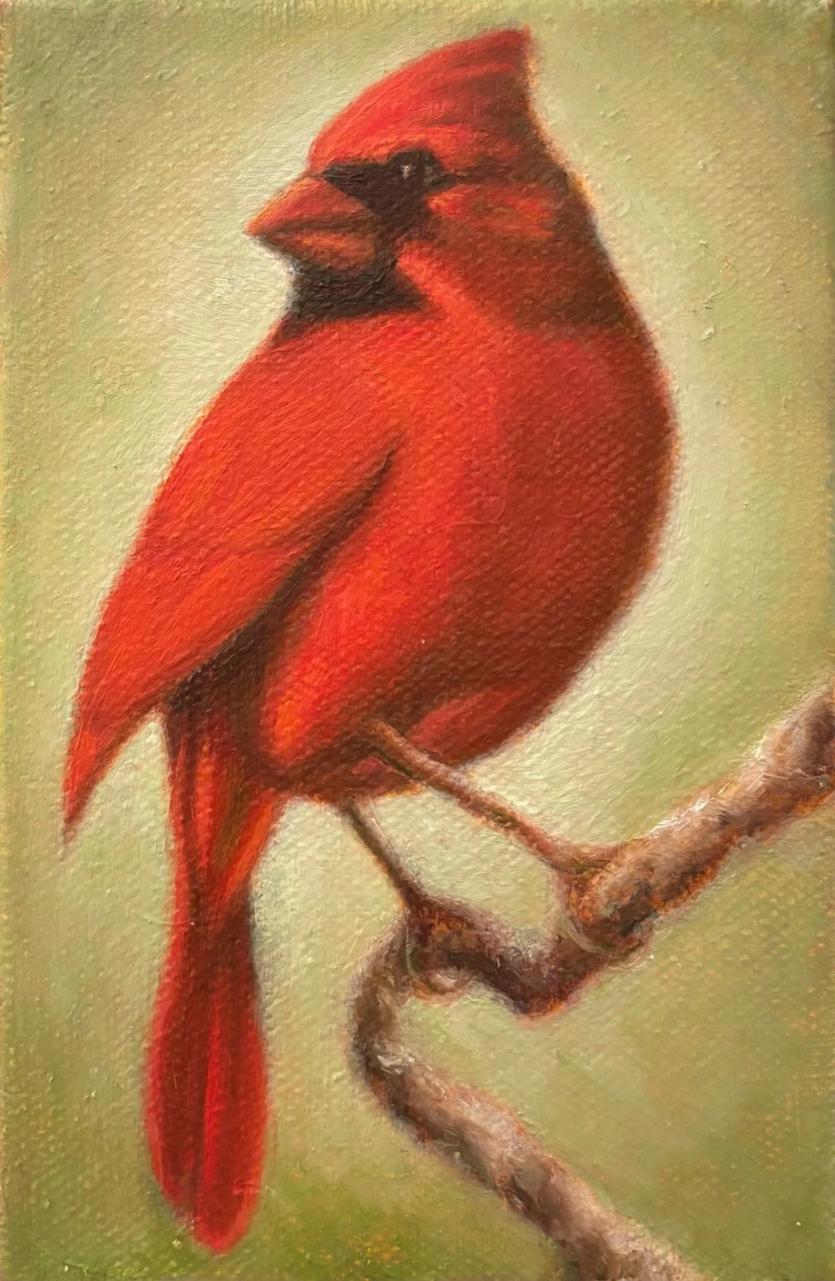 Cardinal